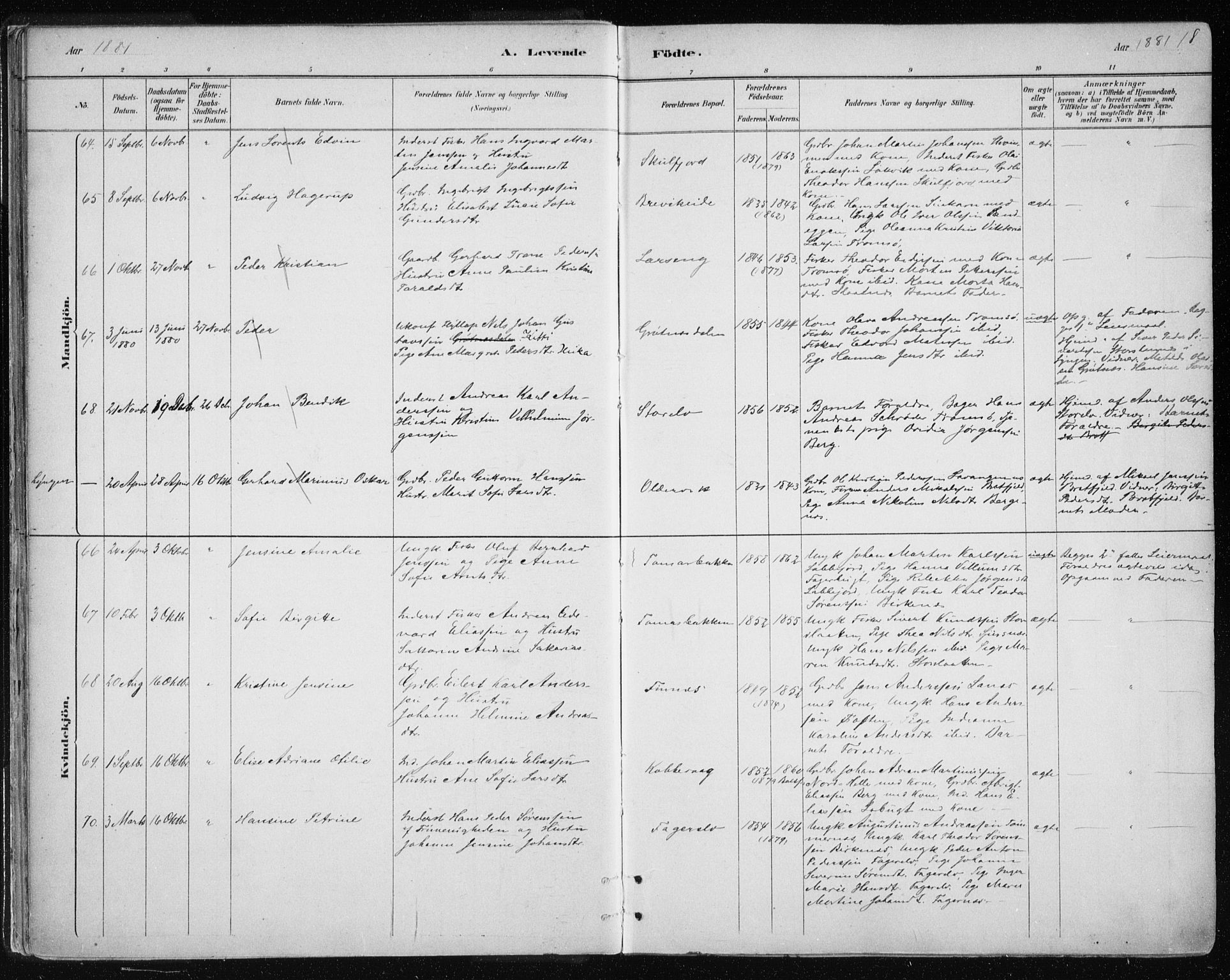 Tromsøysund sokneprestkontor, AV/SATØ-S-1304/G/Ga/L0004kirke: Parish register (official) no. 4, 1880-1888, p. 18