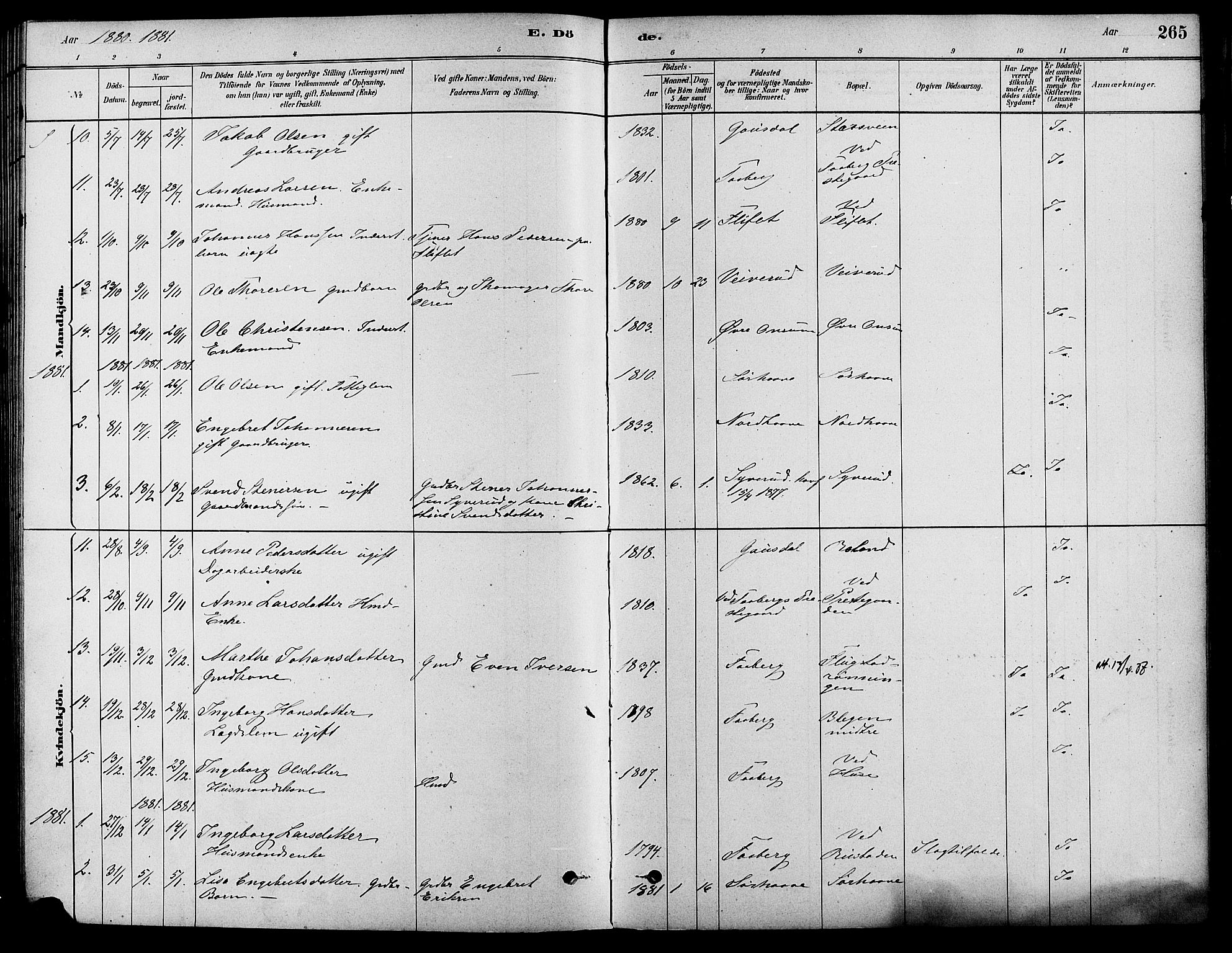 Fåberg prestekontor, SAH/PREST-086/H/Ha/Haa/L0008: Parish register (official) no. 8, 1879-1898, p. 265