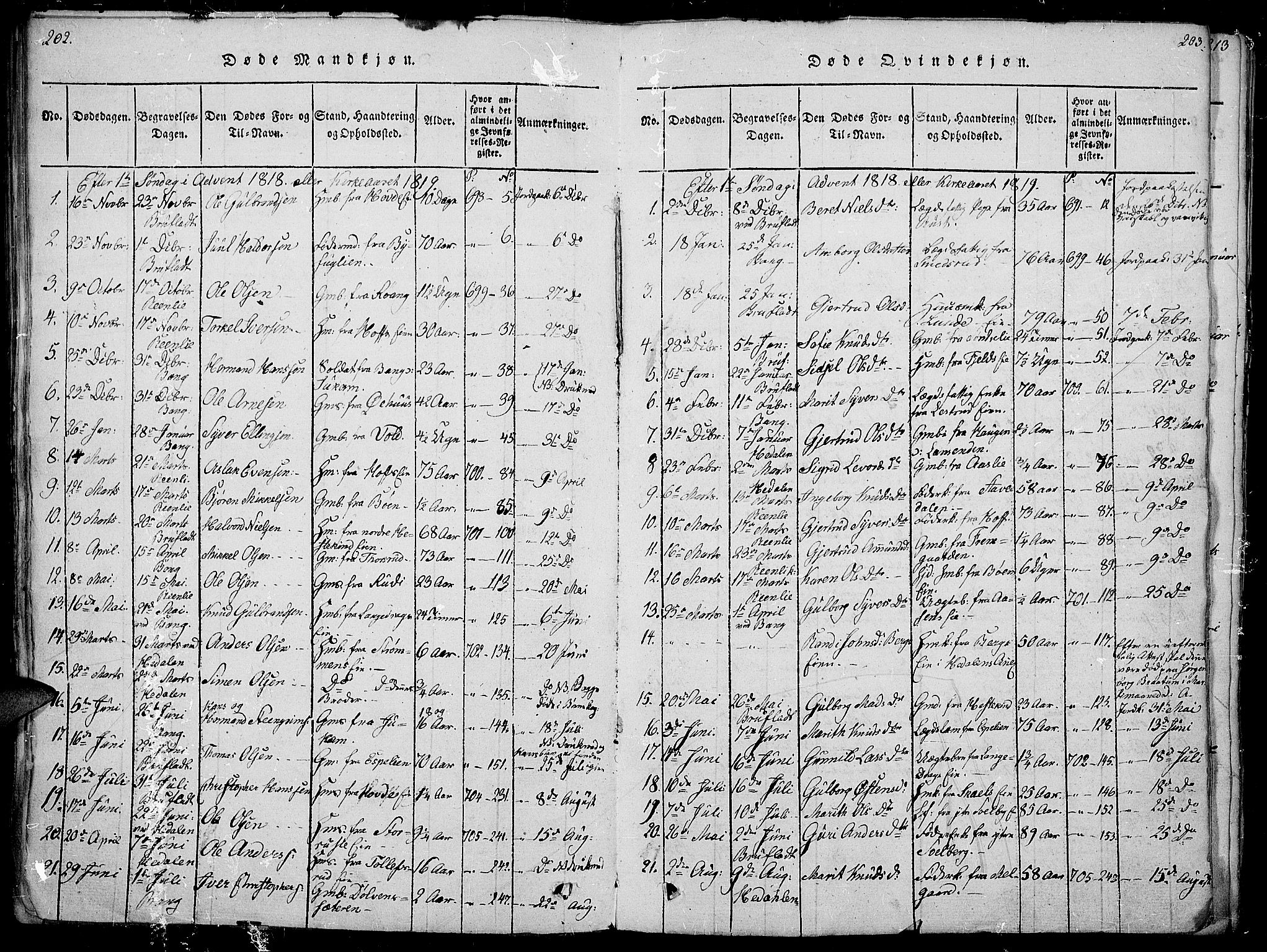 Sør-Aurdal prestekontor, AV/SAH-PREST-128/H/Ha/Haa/L0002: Parish register (official) no. 2, 1815-1840, p. 202-203