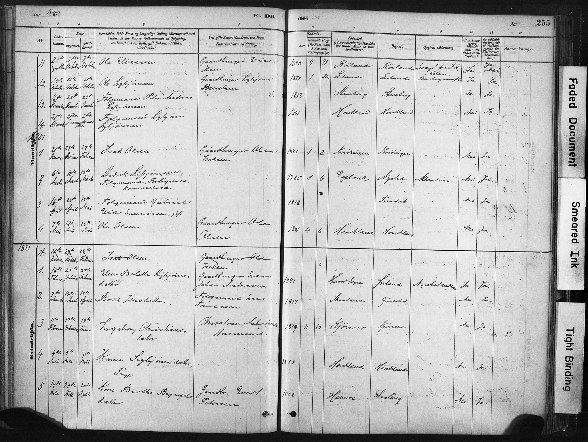 Lund sokneprestkontor, SAST/A-101809/S06/L0011: Parish register (official) no. A 10, 1877-1904, p. 255