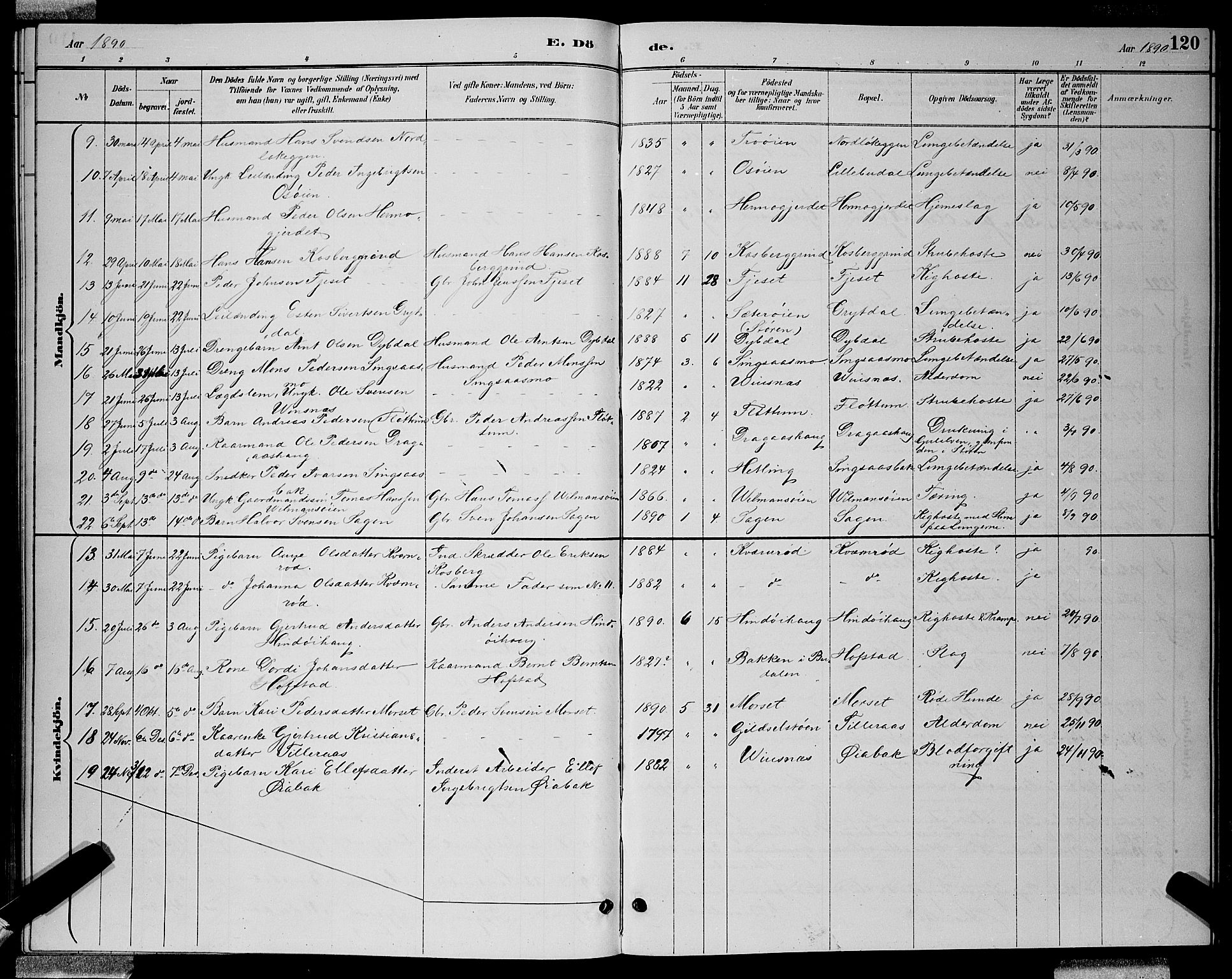 Ministerialprotokoller, klokkerbøker og fødselsregistre - Sør-Trøndelag, AV/SAT-A-1456/688/L1028: Parish register (copy) no. 688C03, 1889-1899, p. 120