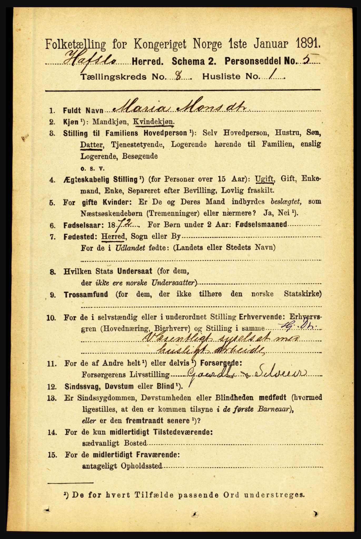 RA, 1891 census for 1425 Hafslo, 1891, p. 3182