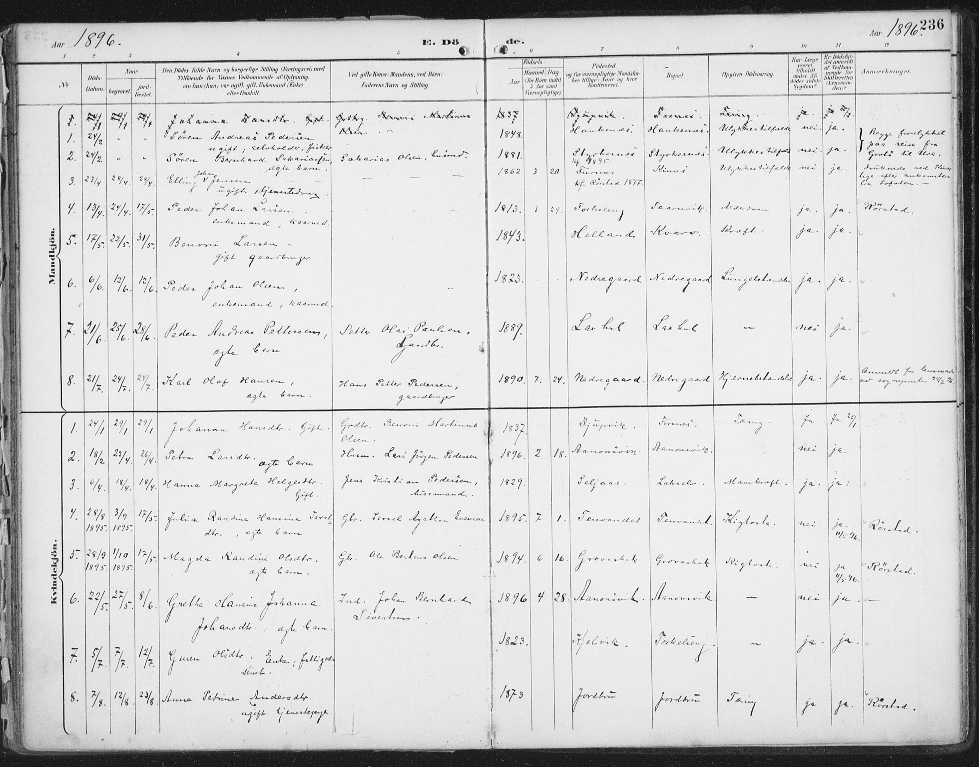 Ministerialprotokoller, klokkerbøker og fødselsregistre - Nordland, SAT/A-1459/854/L0779: Parish register (official) no. 854A02, 1892-1909, p. 236