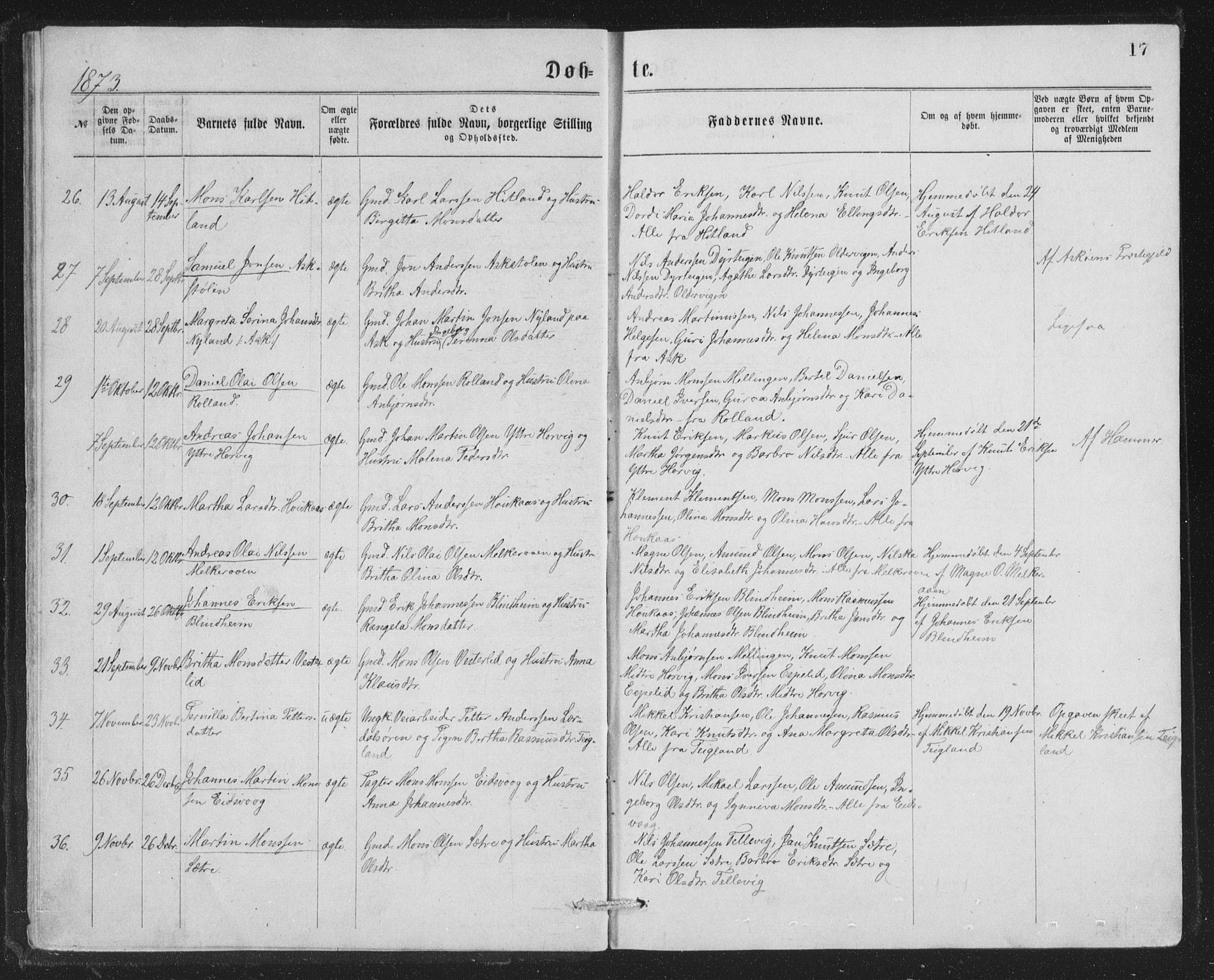 Åsane sokneprestembete, SAB/A-79401/H/Hab: Parish register (copy) no. A 1, 1870-1884, p. 17