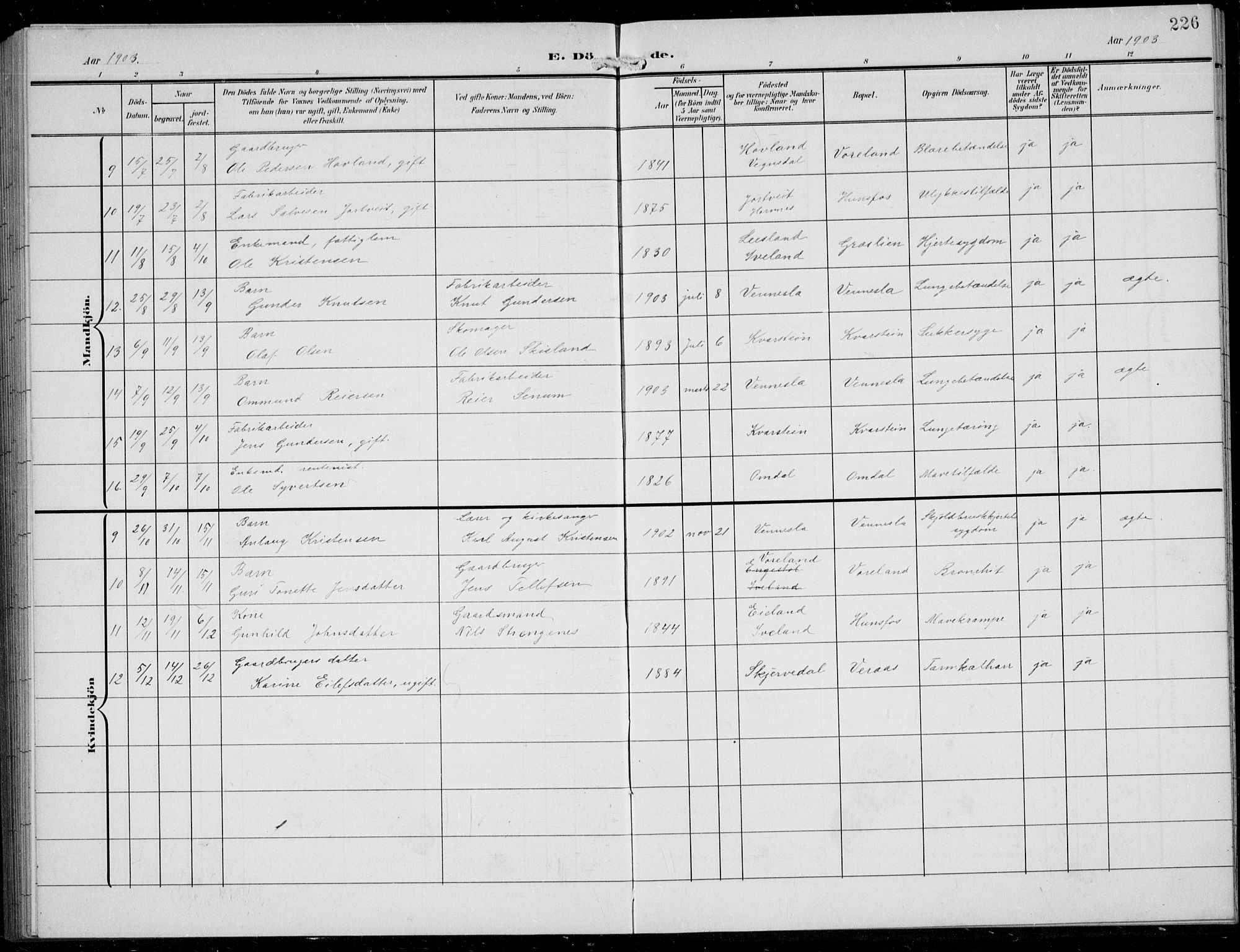 Vennesla sokneprestkontor, AV/SAK-1111-0045/Fb/Fbb/L0005: Parish register (copy) no. B 5, 1903-1913, p. 226