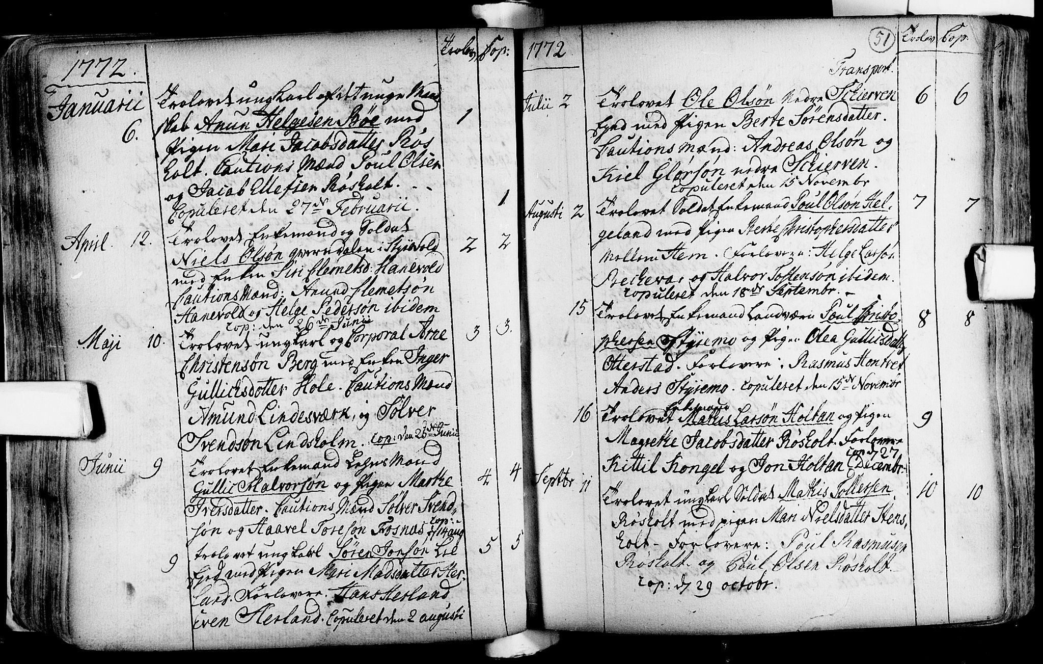 Lardal kirkebøker, AV/SAKO-A-350/F/Fa/L0004: Parish register (official) no. i 4, 1733-1815, p. 51