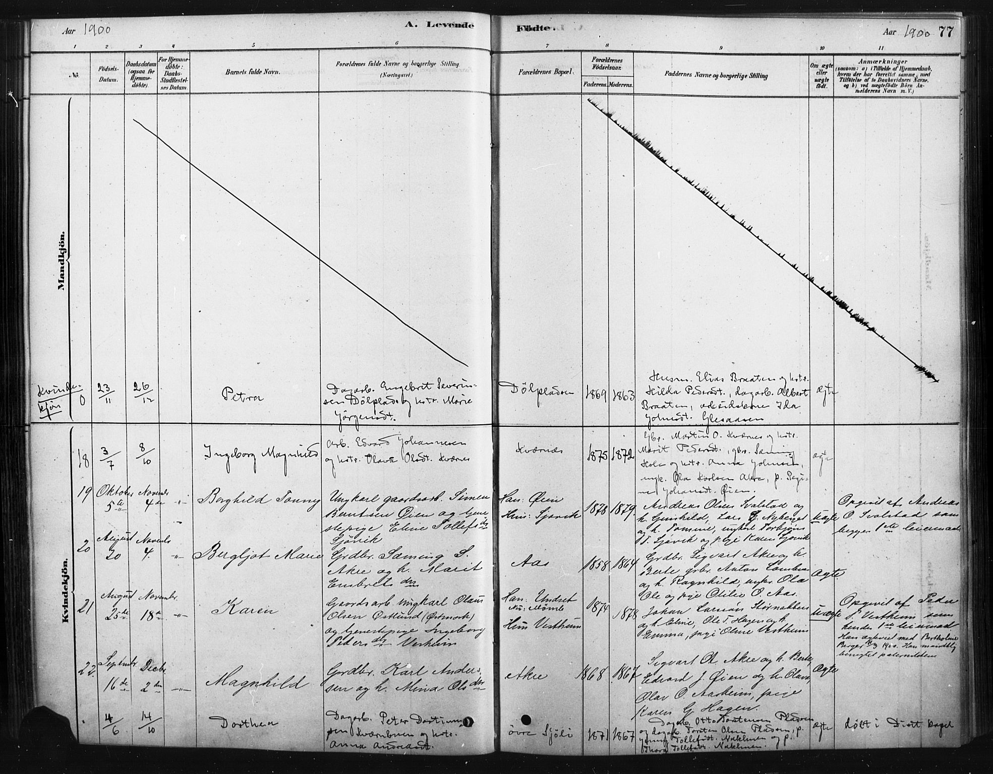 Rendalen prestekontor, AV/SAH-PREST-054/H/Ha/Haa/L0010: Parish register (official) no. 10, 1878-1901, p. 77