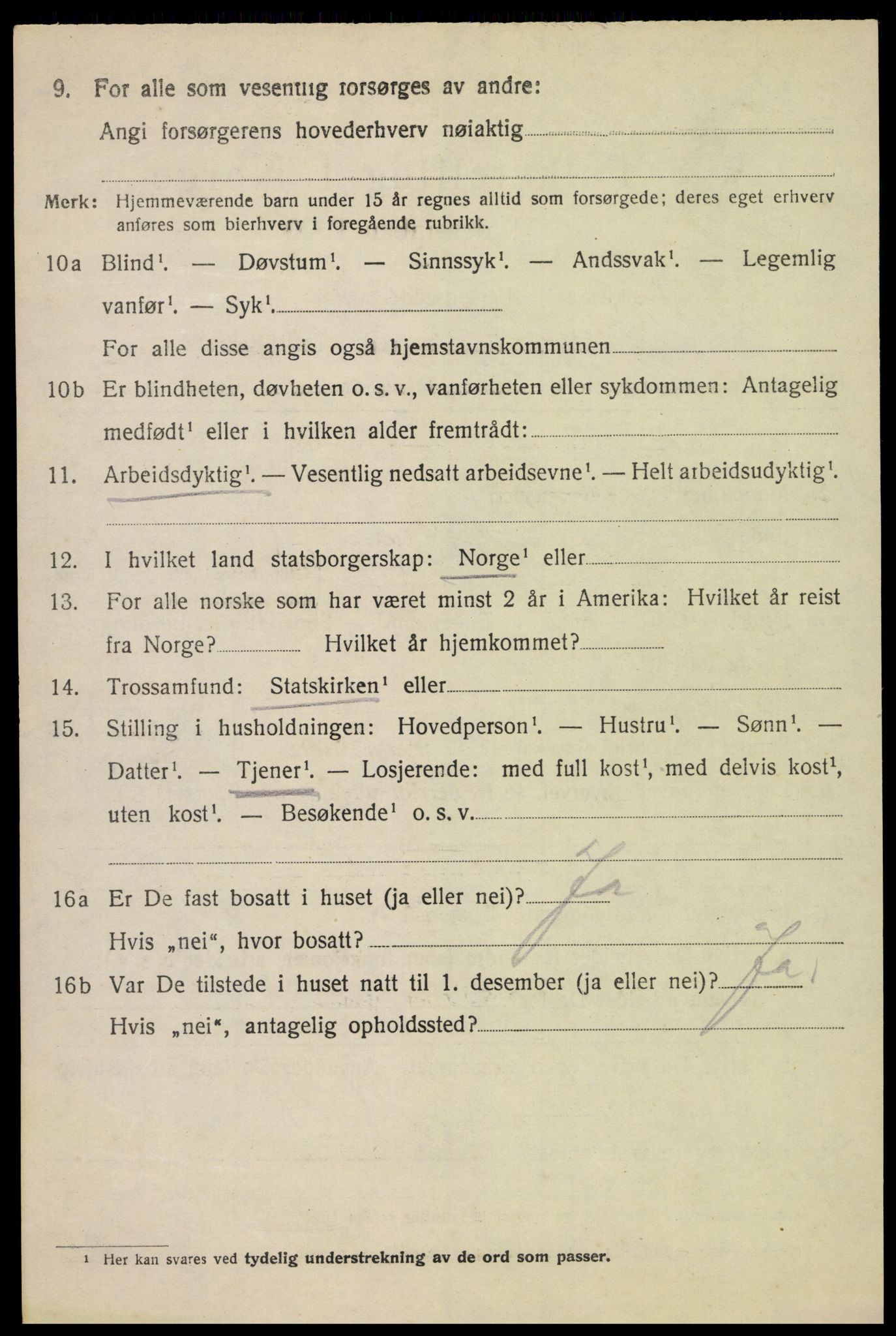 SAH, 1920 census for Vang (Hedmark), 1920, p. 4204