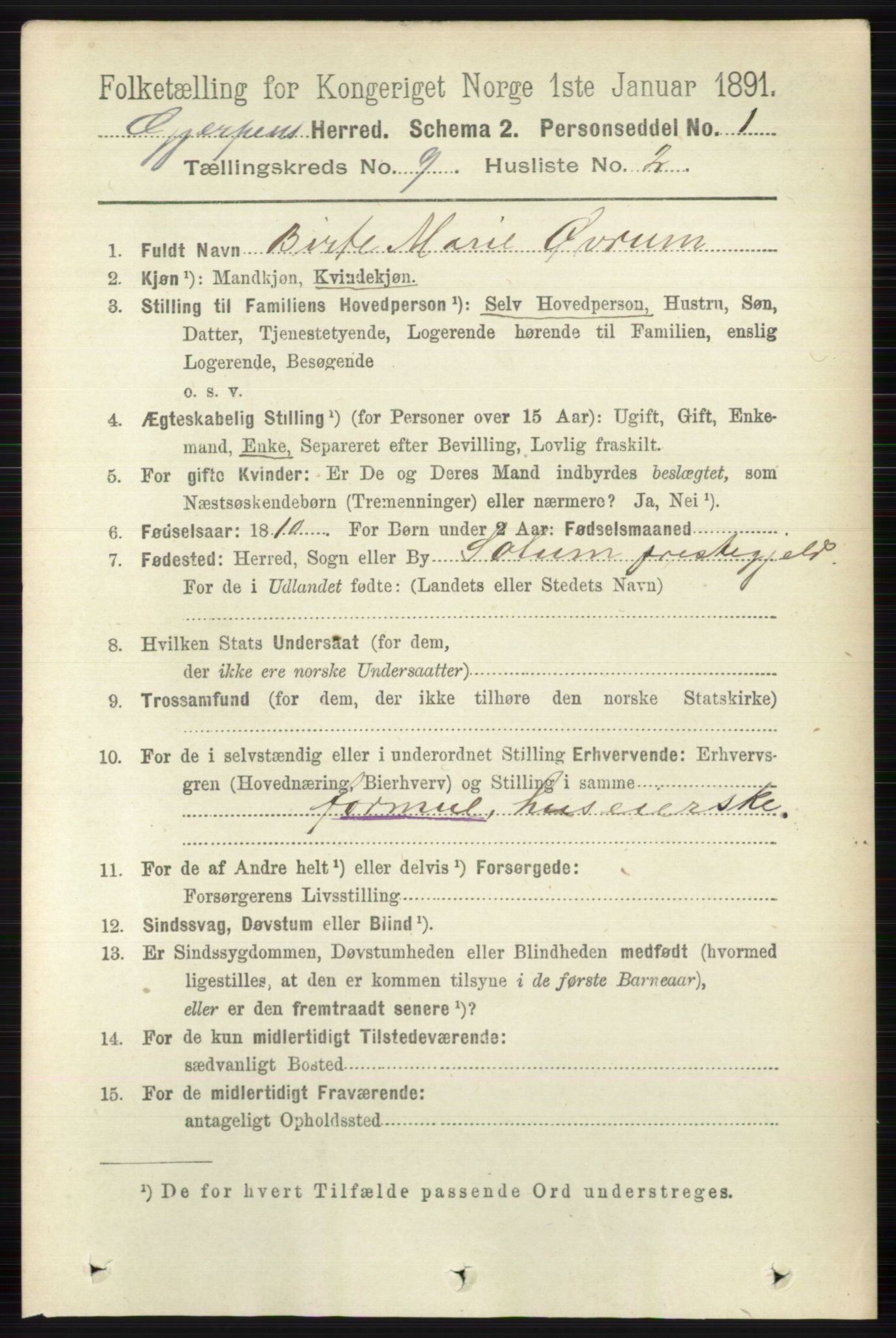 RA, 1891 census for 0812 Gjerpen, 1891, p. 4983