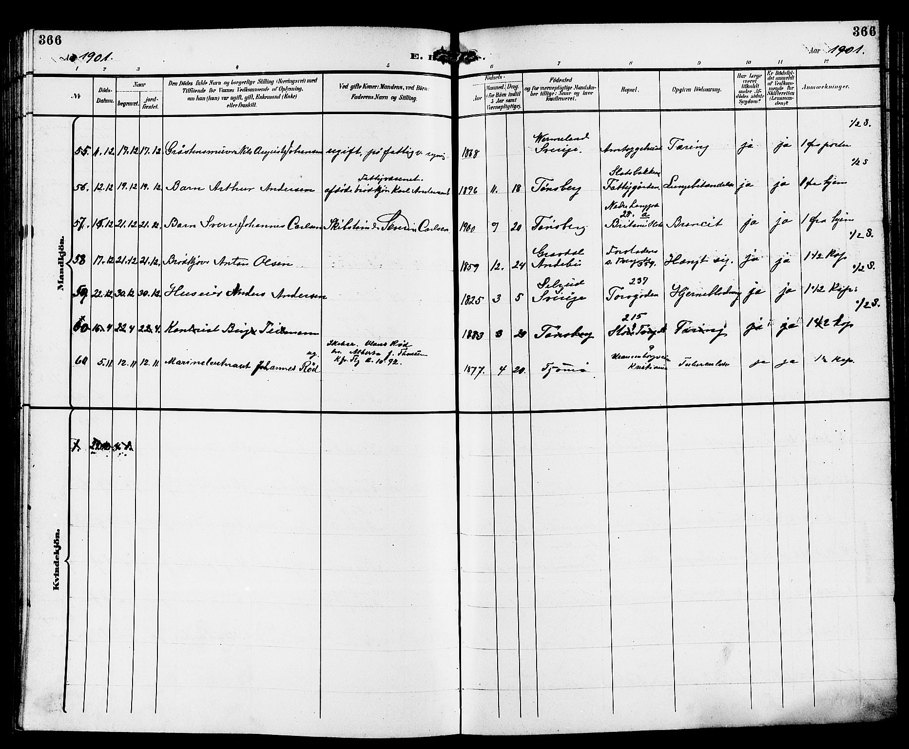 Tønsberg kirkebøker, AV/SAKO-A-330/G/Ga/L0007: Parish register (copy) no. 7, 1896-1904, p. 366