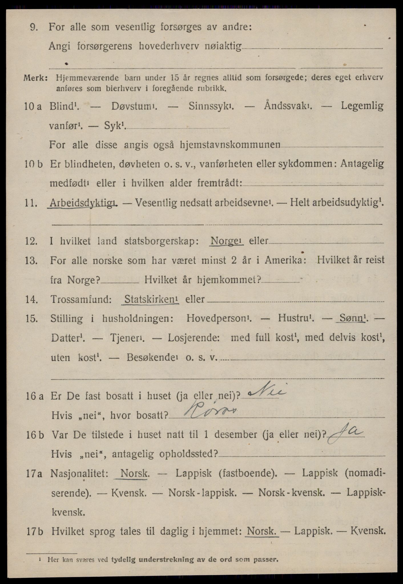 SAT, 1920 census for Røros, 1920, p. 8161