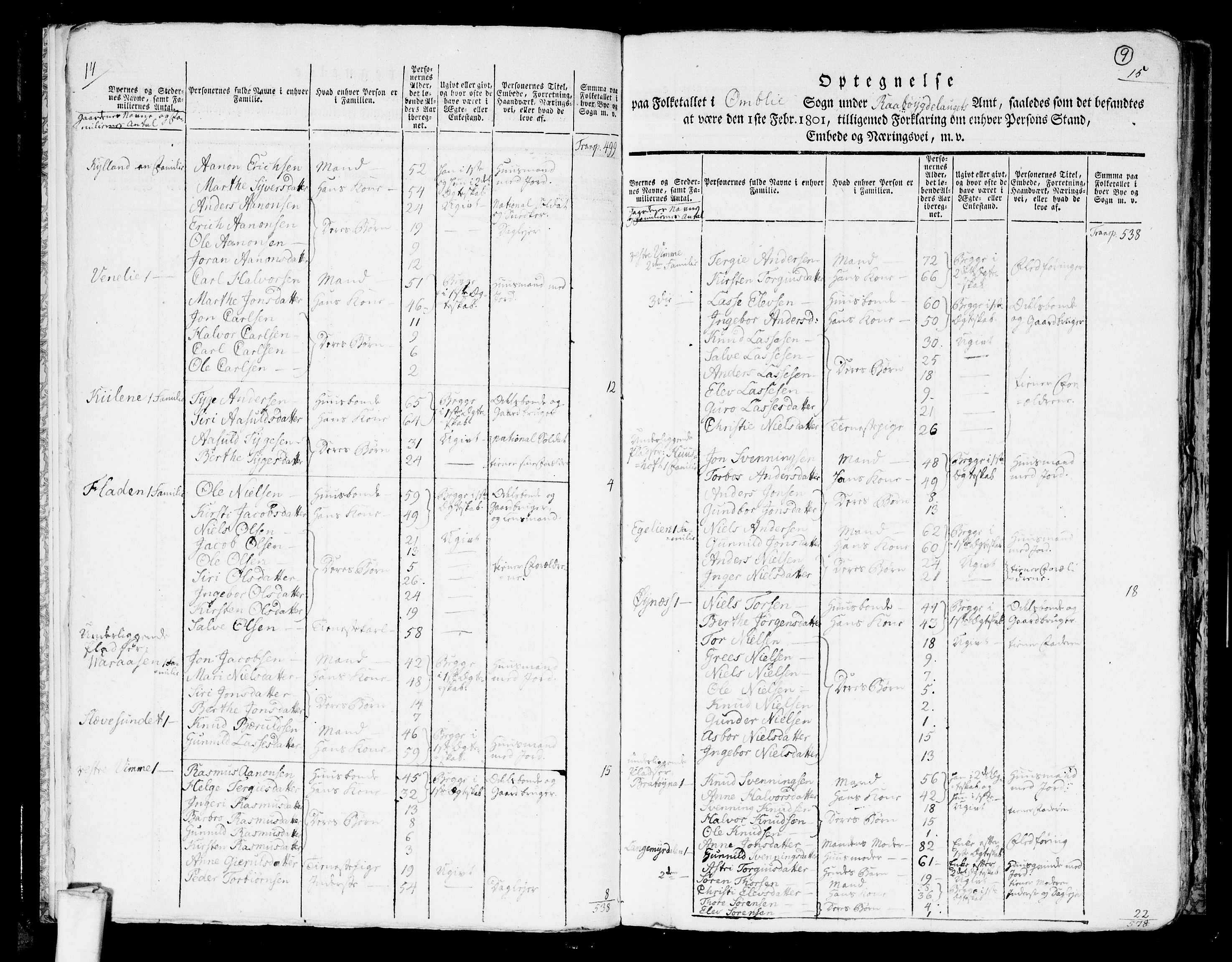 RA, 1801 census for 0929P Åmli, 1801, p. 8b-9a