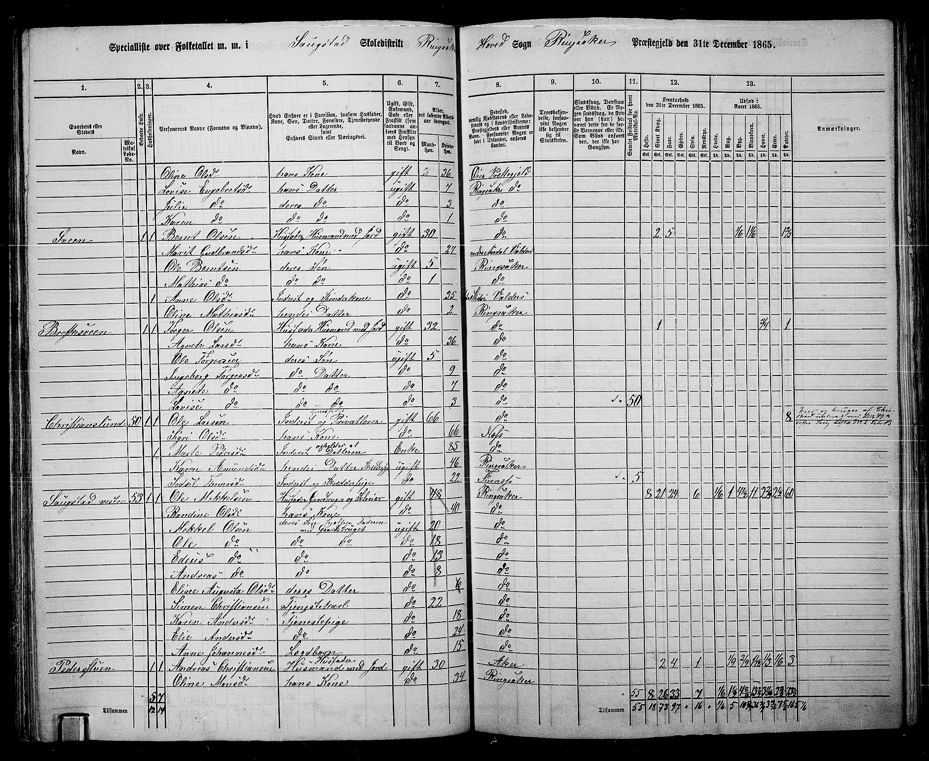 RA, 1865 census for Ringsaker, 1865, p. 102