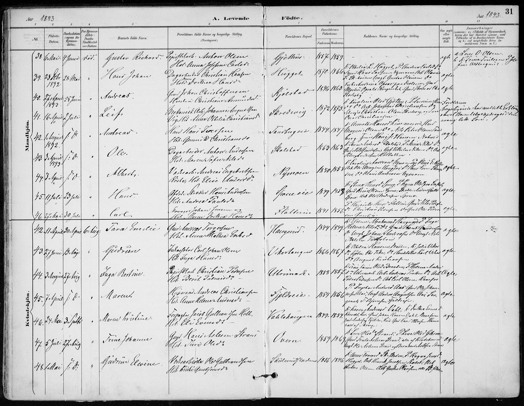 Modum kirkebøker, AV/SAKO-A-234/F/Fa/L0012: Parish register (official) no. 12, 1890-1898, p. 31