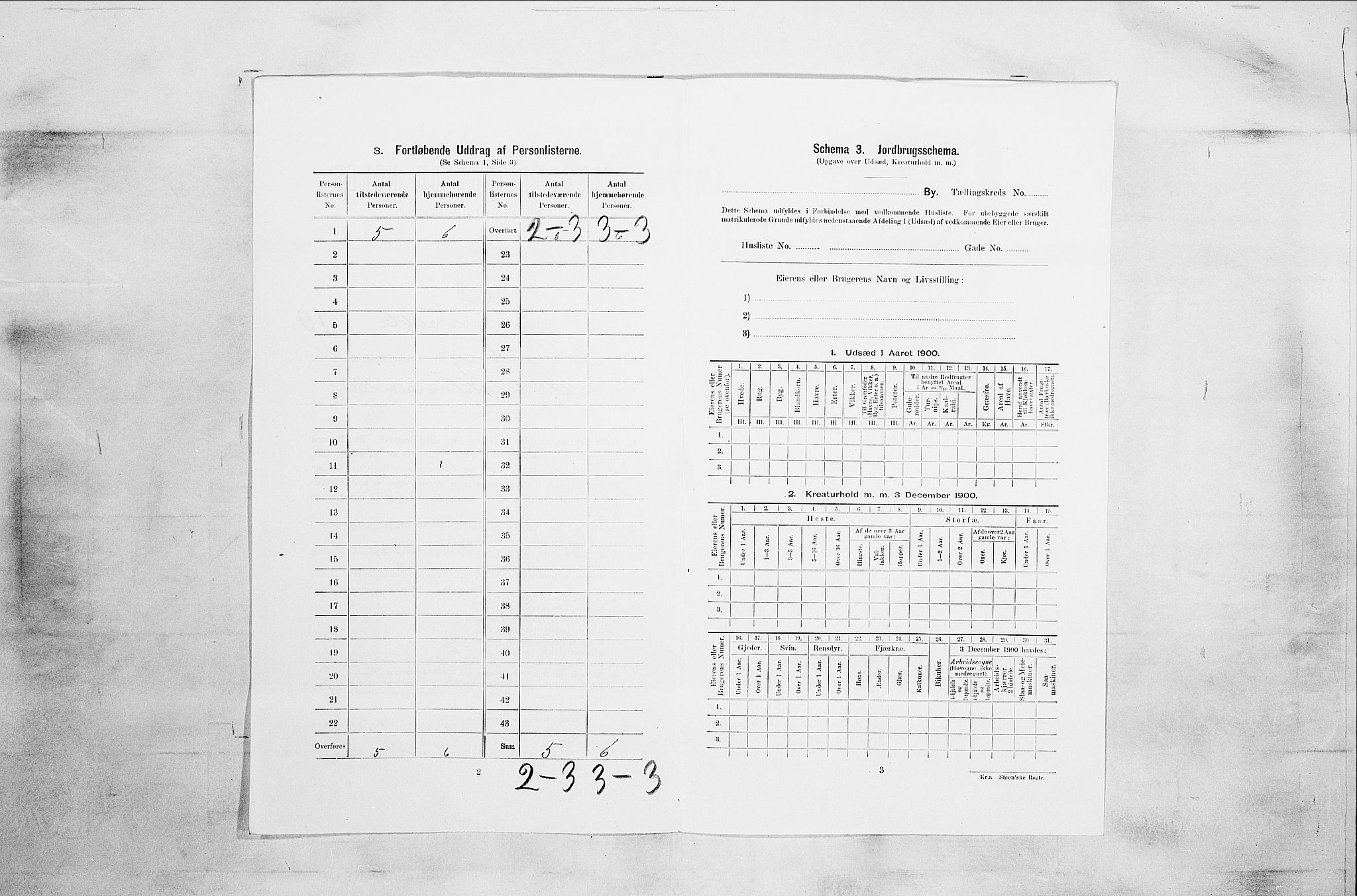 RA, 1900 census for Tønsberg, 1900, p. 2422
