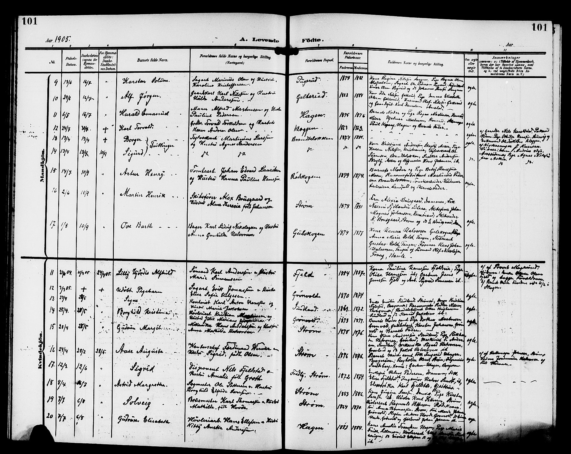 Strømsgodset kirkebøker, AV/SAKO-A-324/G/Ga/L0002: Parish register (copy) no. 2, 1885-1910, p. 101