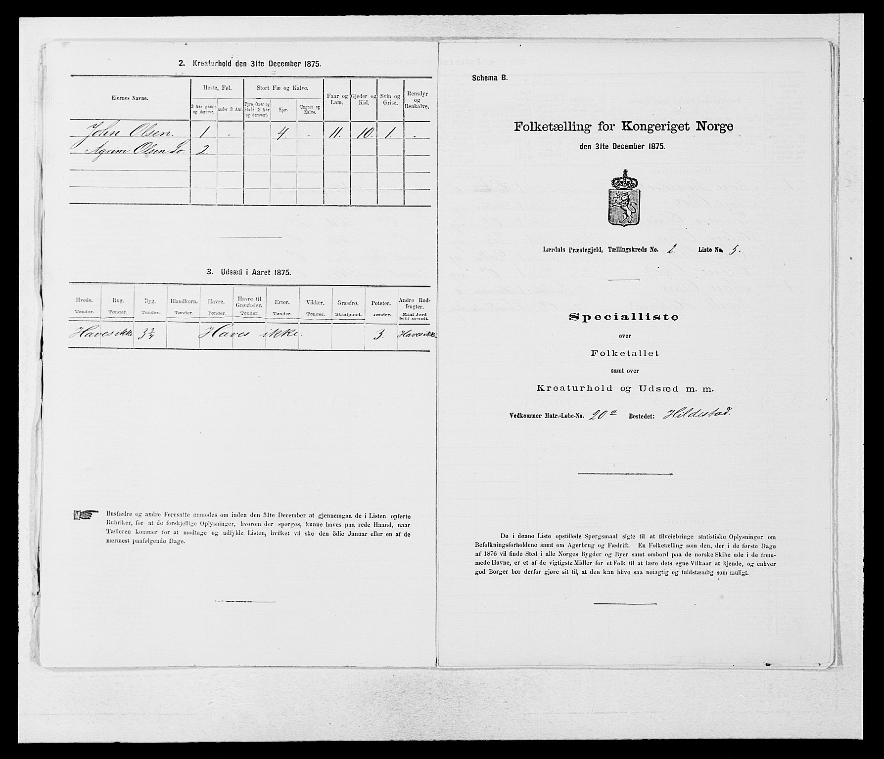 SAB, 1875 census for 1422P Lærdal, 1875, p. 1009