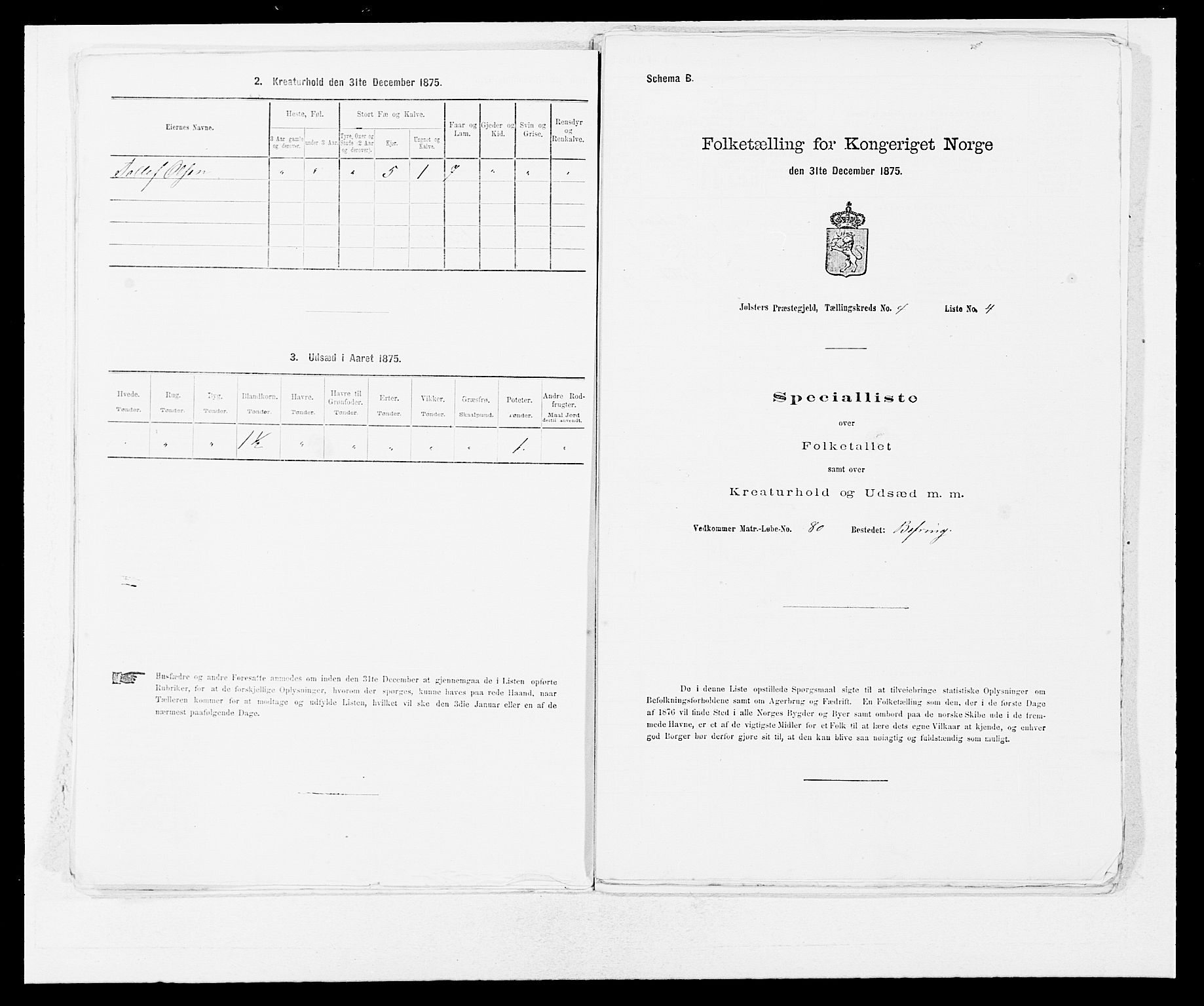 SAB, 1875 census for 1431P Jølster, 1875, p. 294