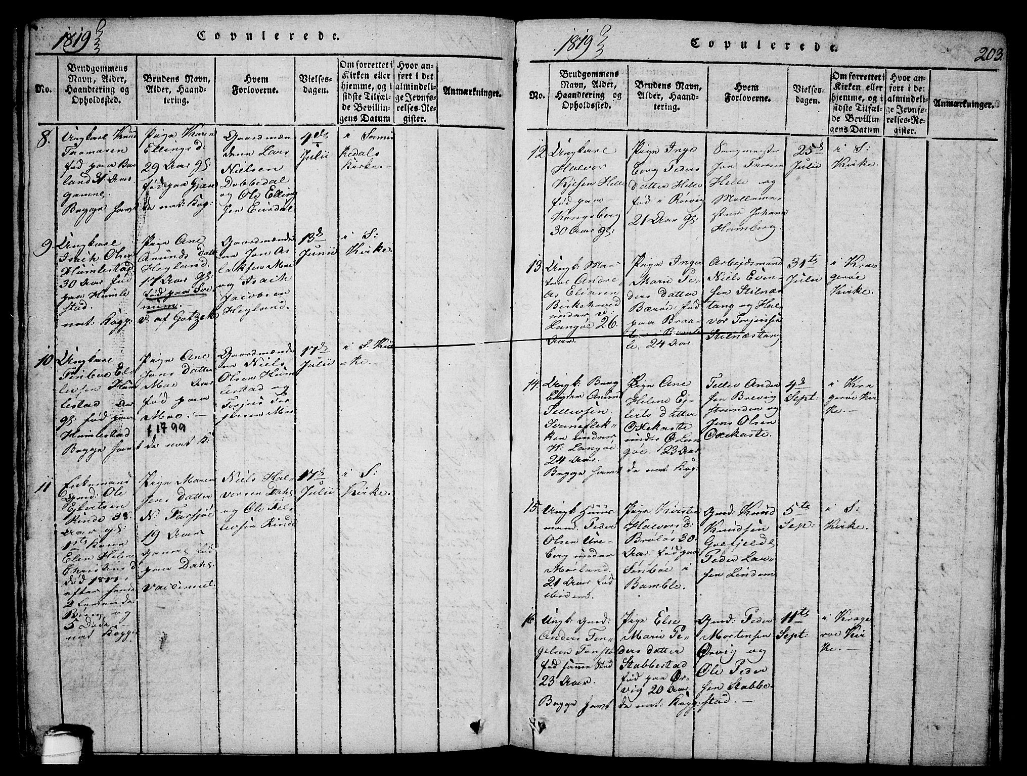 Sannidal kirkebøker, AV/SAKO-A-296/F/Fa/L0004: Parish register (official) no. 4, 1814-1829, p. 203