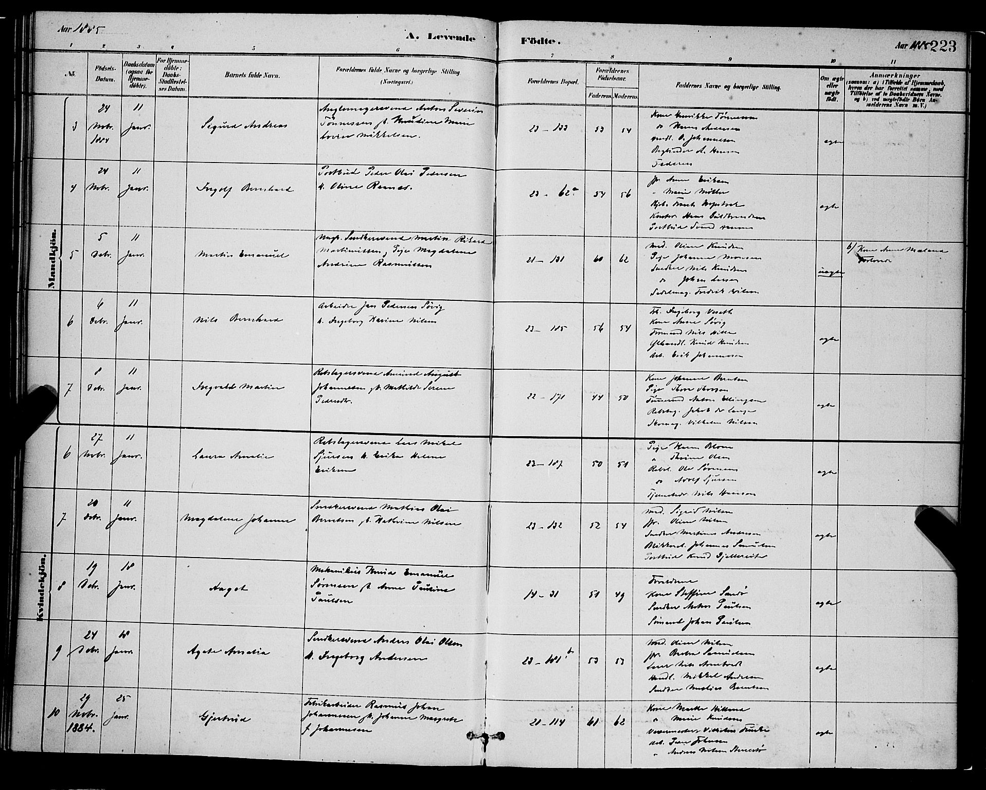 Korskirken sokneprestembete, AV/SAB-A-76101/H/Hab: Parish register (copy) no. B 8, 1878-1887, p. 223