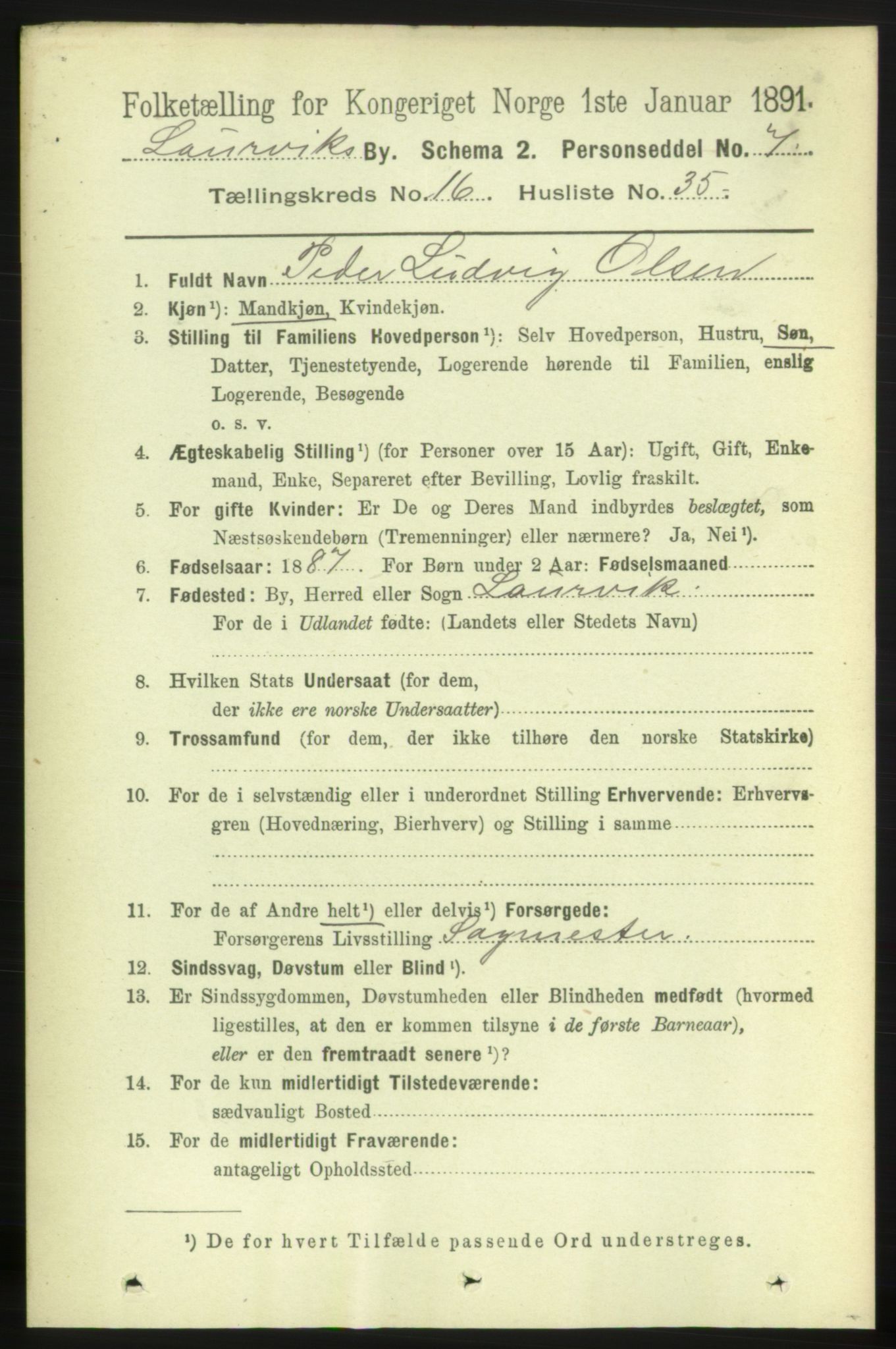 RA, 1891 census for 0707 Larvik, 1891, p. 11910