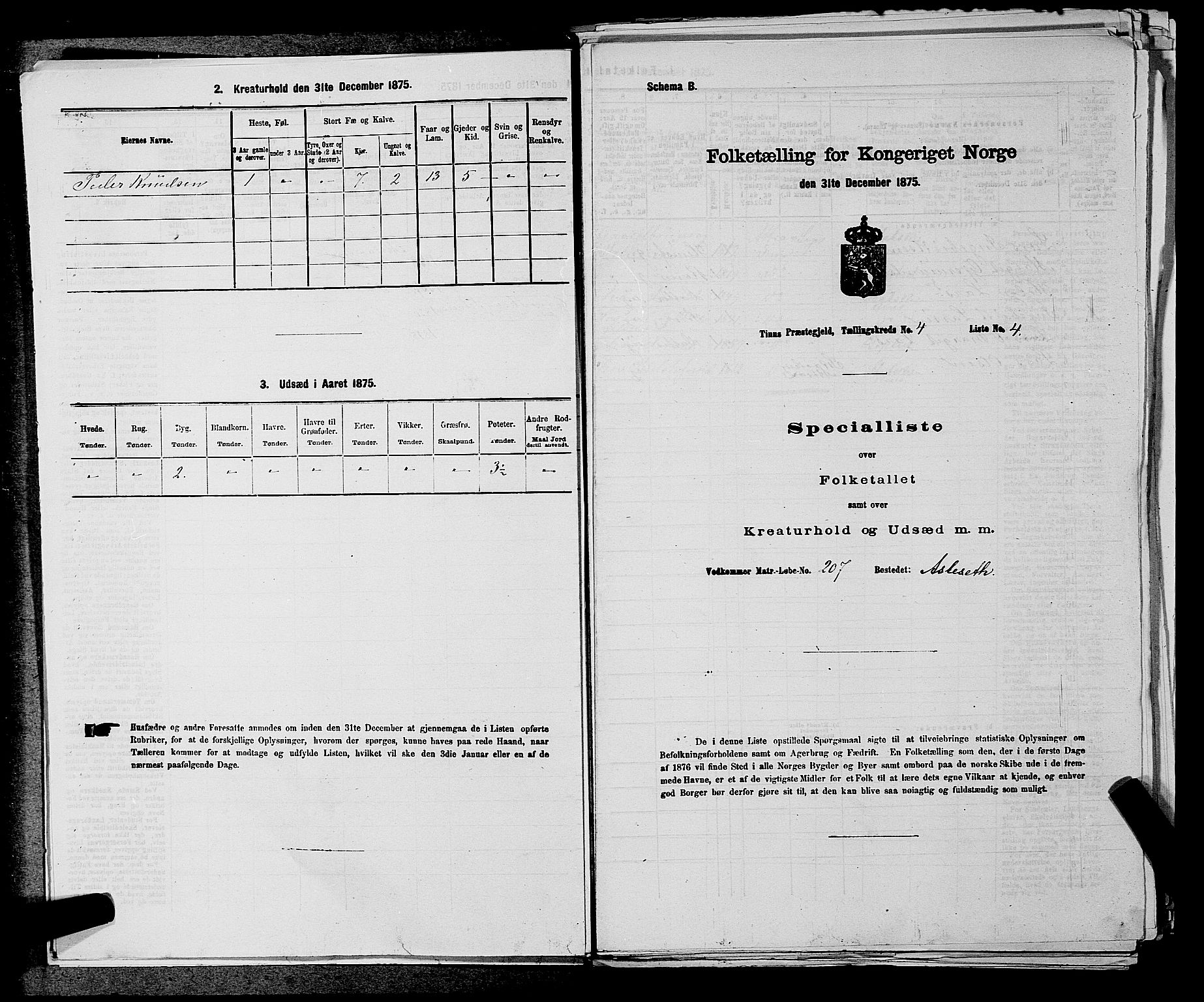 SAKO, 1875 census for 0826P Tinn, 1875, p. 466