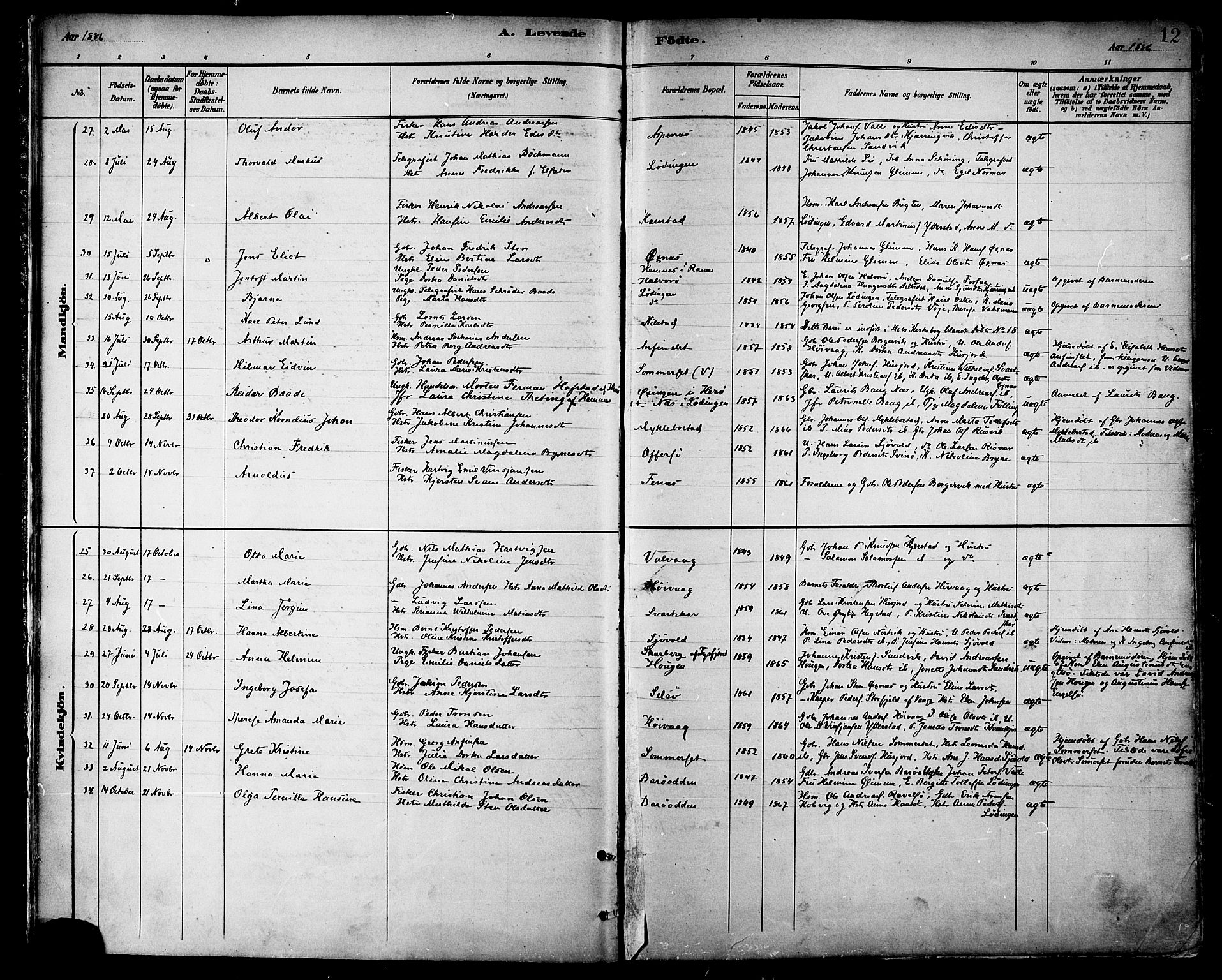 Ministerialprotokoller, klokkerbøker og fødselsregistre - Nordland, AV/SAT-A-1459/872/L1035: Parish register (official) no. 872A10, 1884-1896, p. 12