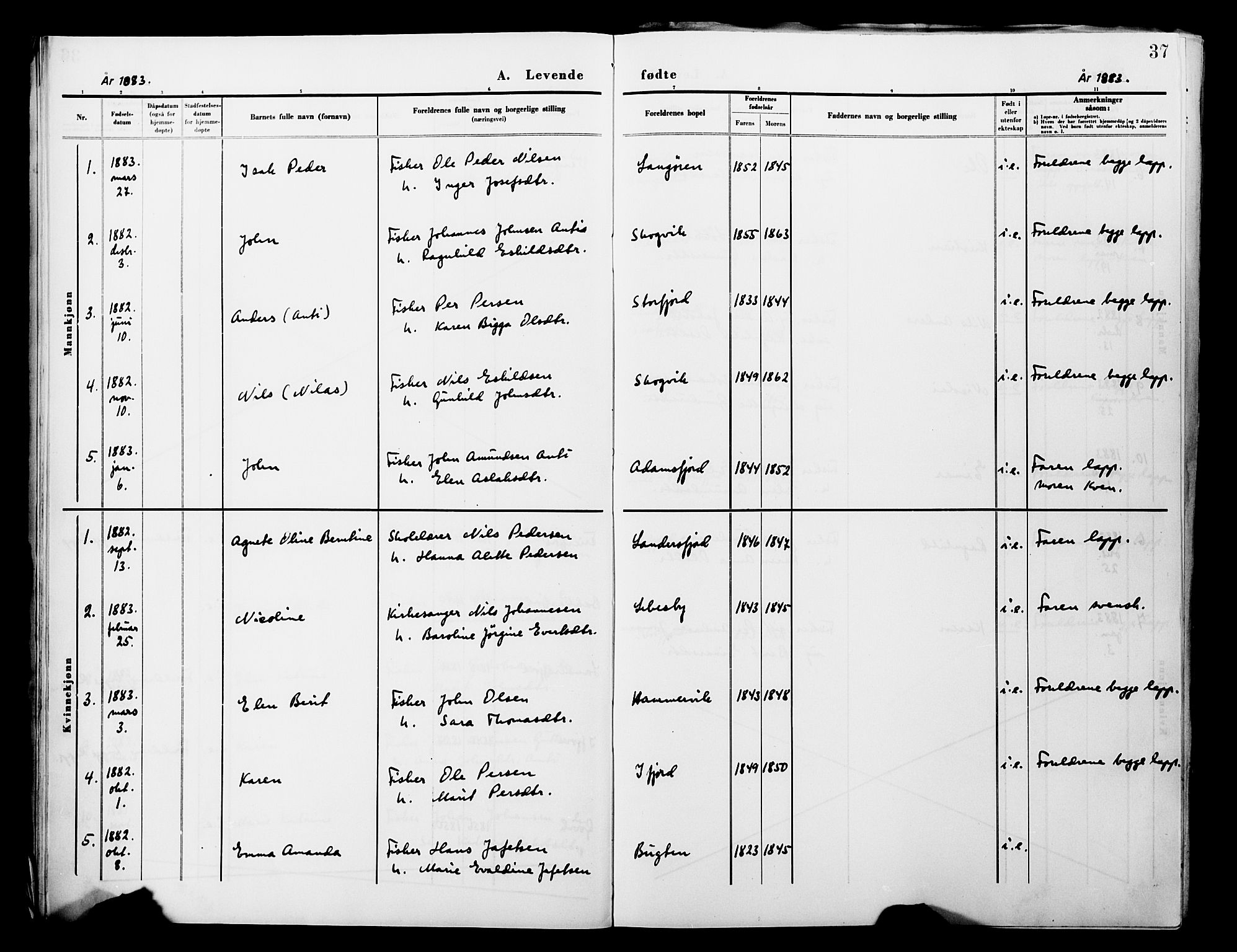 Lebesby sokneprestkontor, SATØ/S-1353/H/Ha/L0004kirke: Parish register (official) no. 4, 1870-1902, p. 37