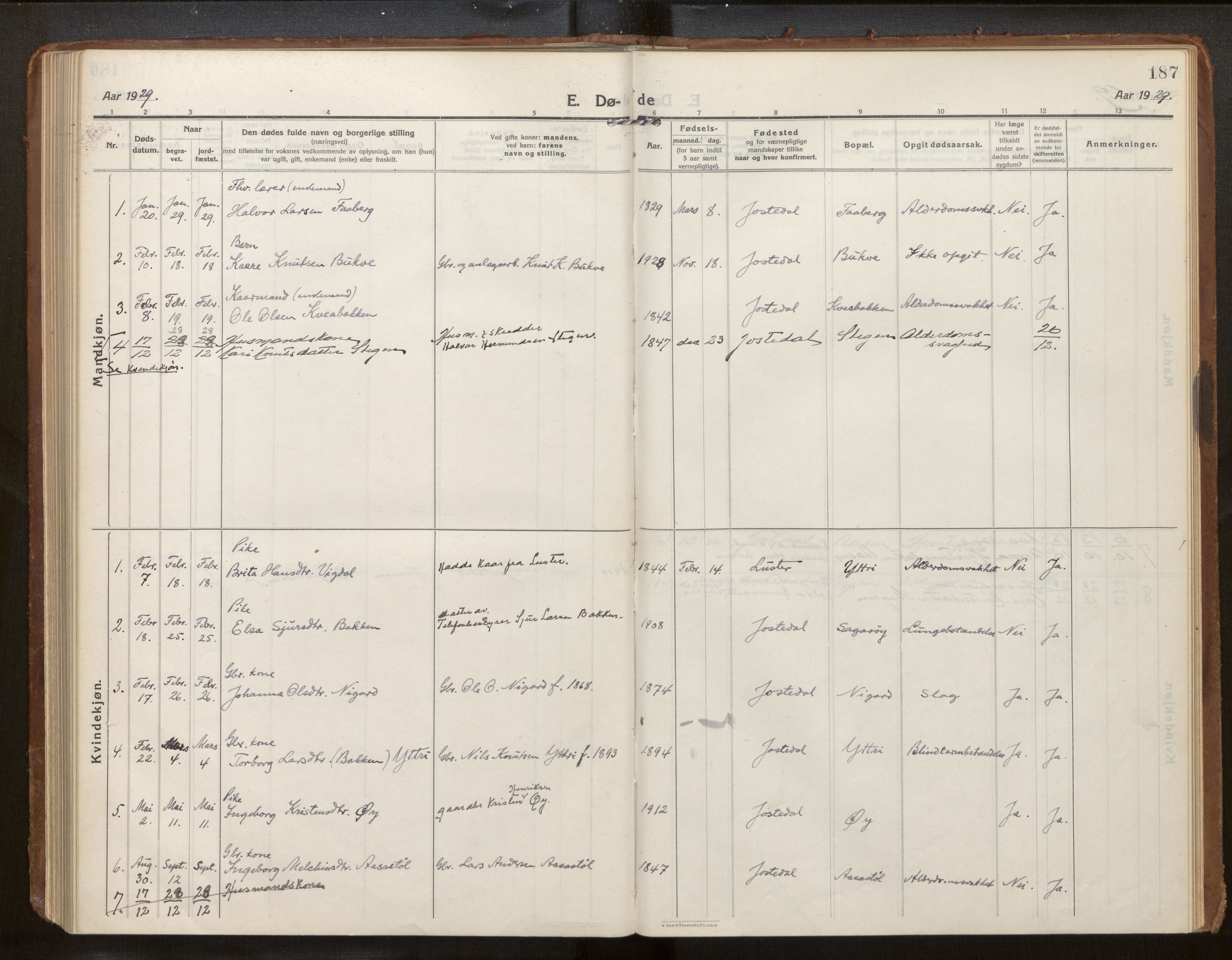 Jostedal sokneprestembete, AV/SAB-A-80601/H/Haa/Haab/L0002: Parish register (official) no. B 2, 1915-1931, p. 187