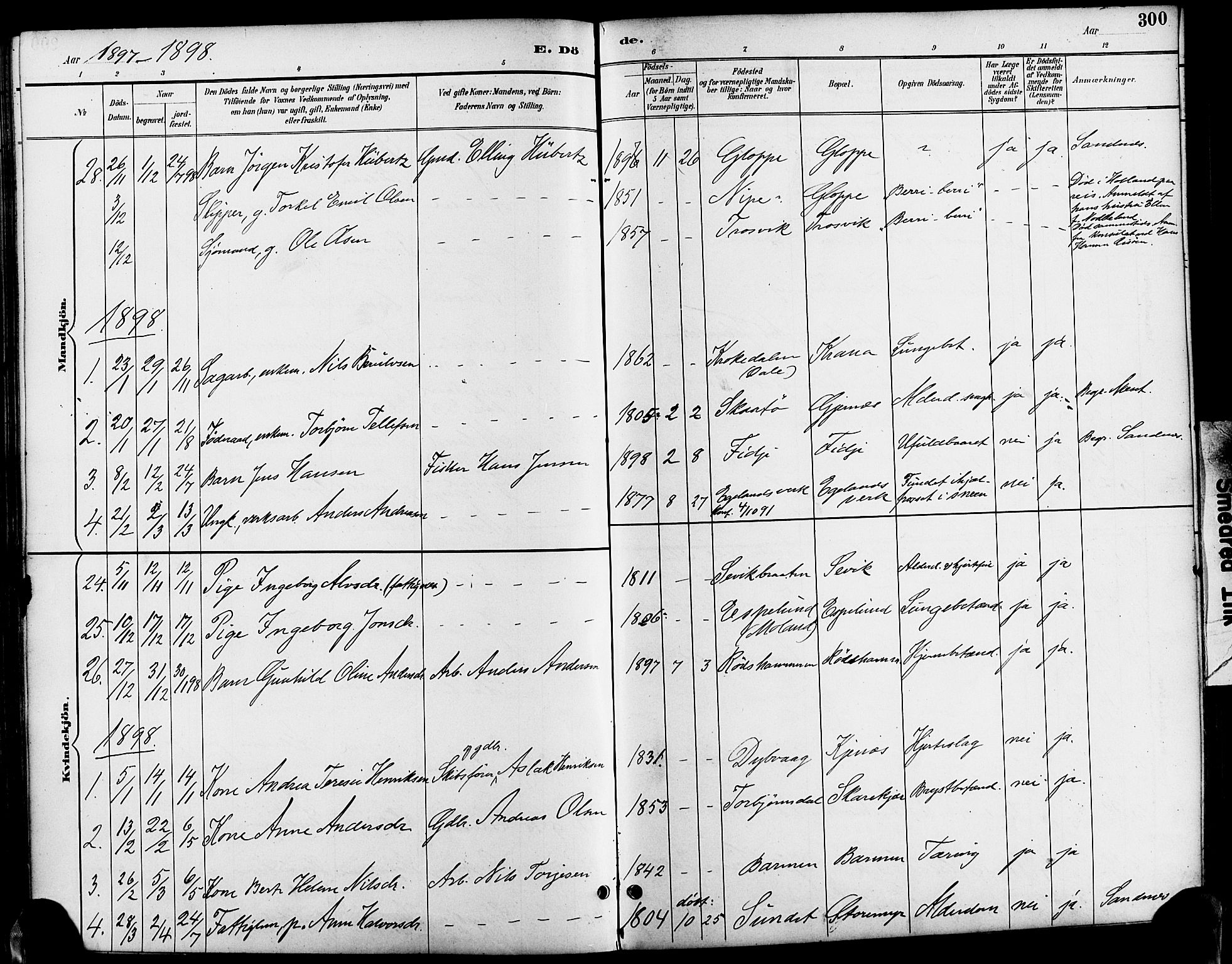 Søndeled sokneprestkontor, SAK/1111-0038/F/Fa/L0005: Parish register (official) no. A 5, 1889-1899, p. 300