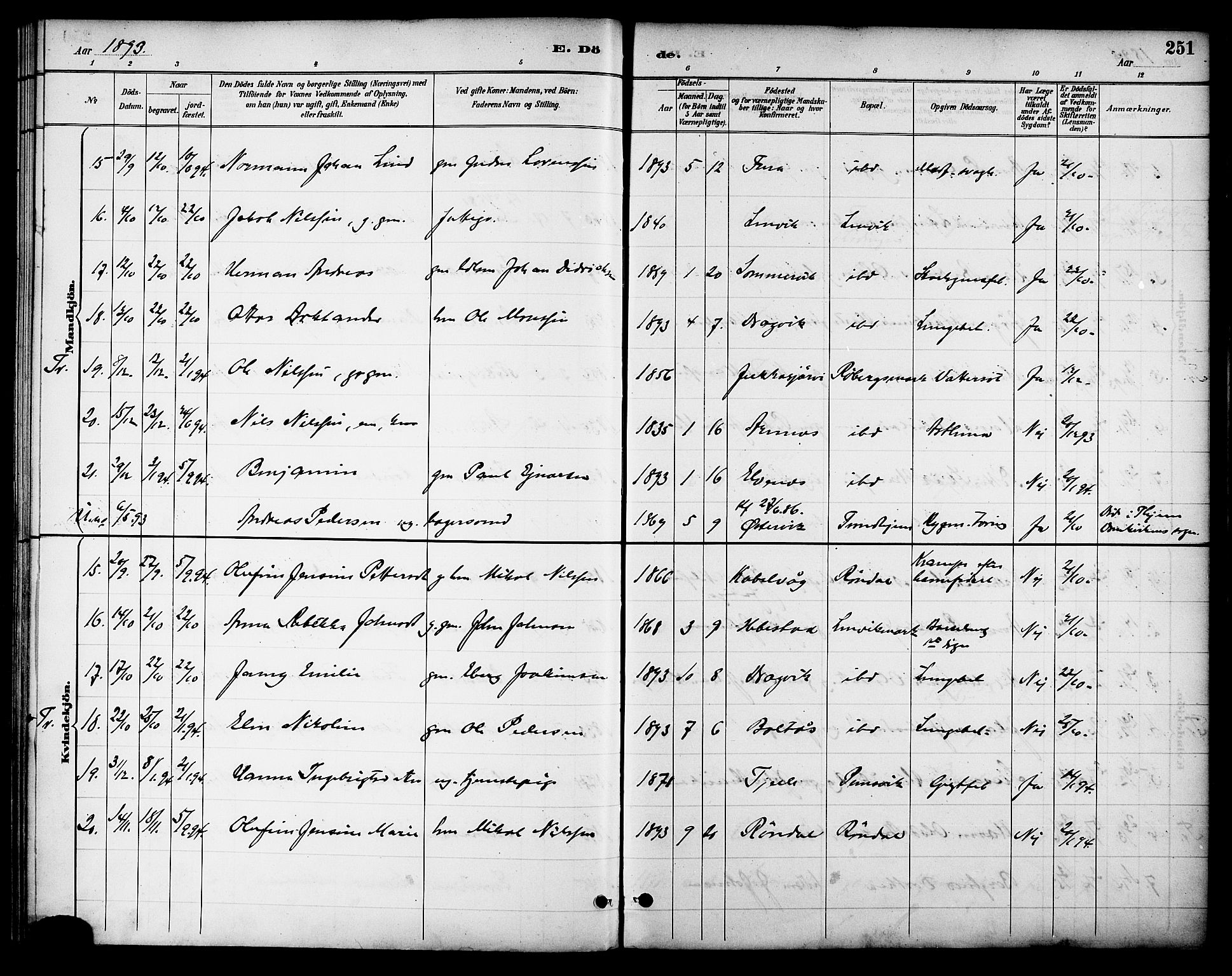 Ministerialprotokoller, klokkerbøker og fødselsregistre - Nordland, AV/SAT-A-1459/863/L0898: Parish register (official) no. 863A10, 1886-1897, p. 251