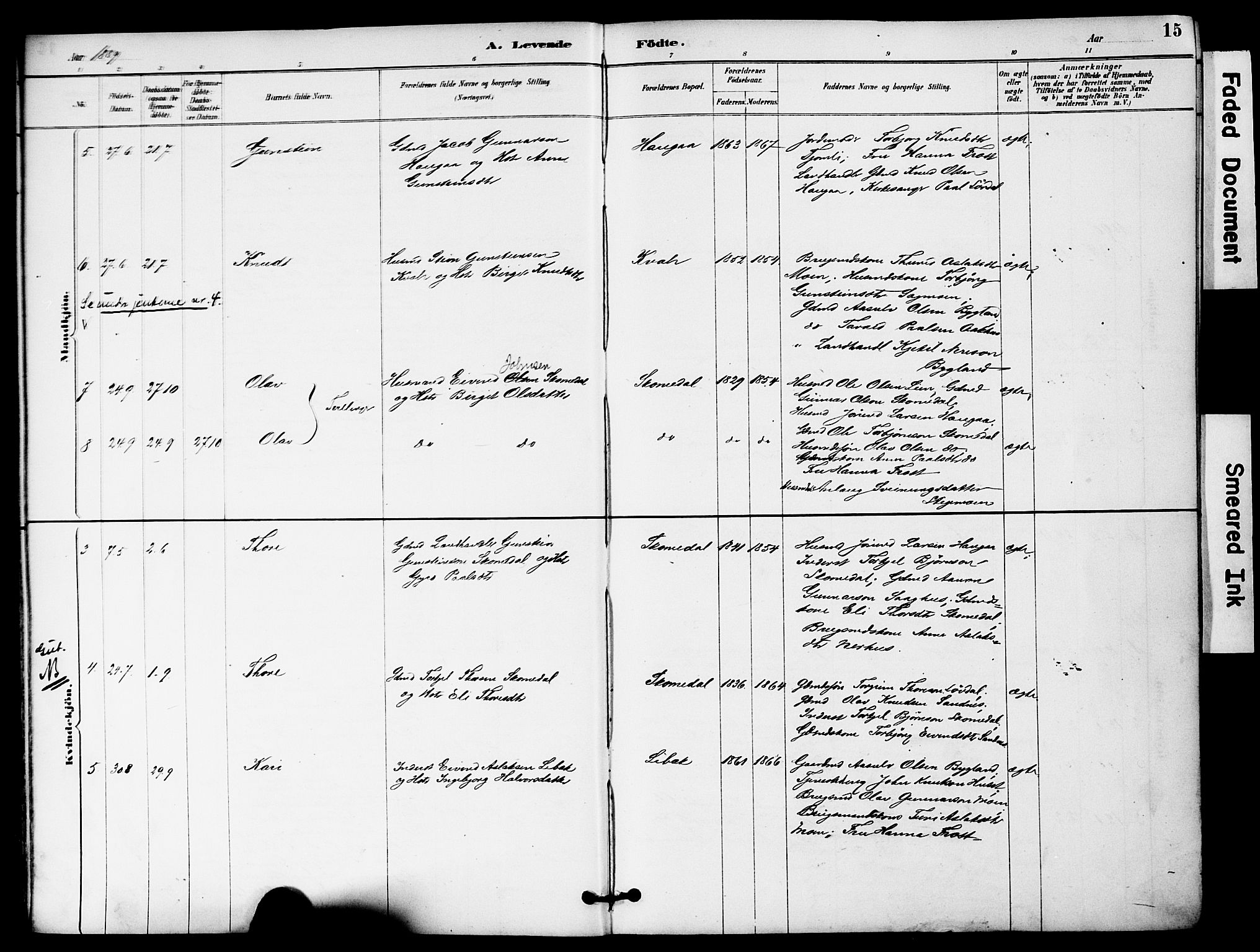 Bygland sokneprestkontor, AV/SAK-1111-0006/F/Fa/Fab/L0007: Parish register (official) no. A 7, 1885-1909, p. 15