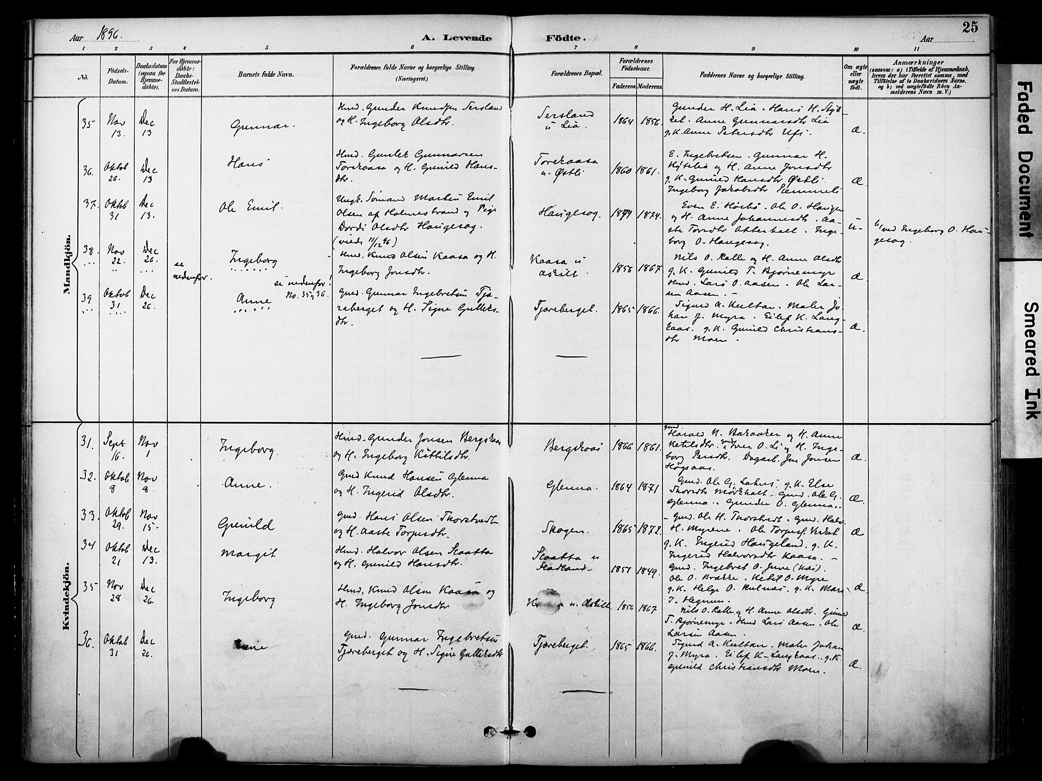 Bø kirkebøker, SAKO/A-257/F/Fa/L0011: Parish register (official) no. 11, 1892-1900, p. 25