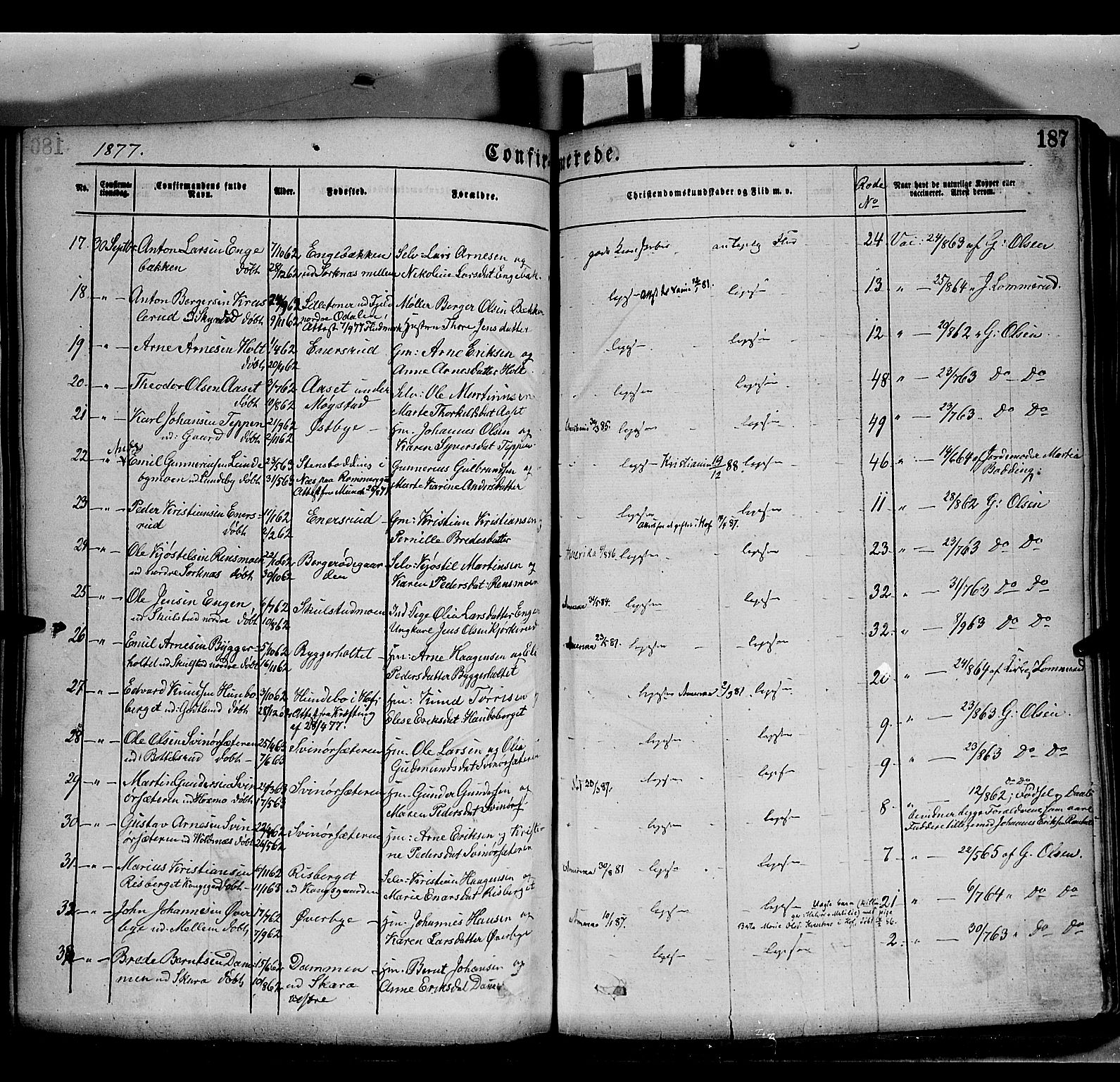 Grue prestekontor, AV/SAH-PREST-036/H/Ha/Haa/L0011: Parish register (official) no. 11, 1873-1880, p. 187