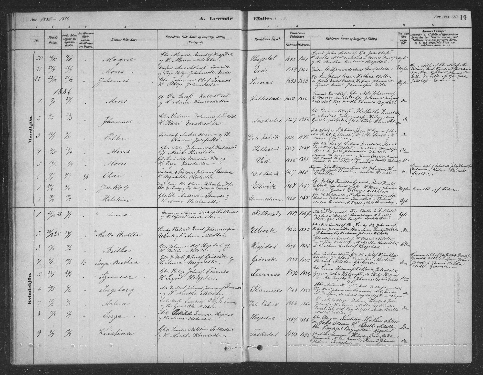 Vaksdal Sokneprestembete, SAB/A-78901/H/Hab: Parish register (copy) no. D 1, 1878-1939, p. 19