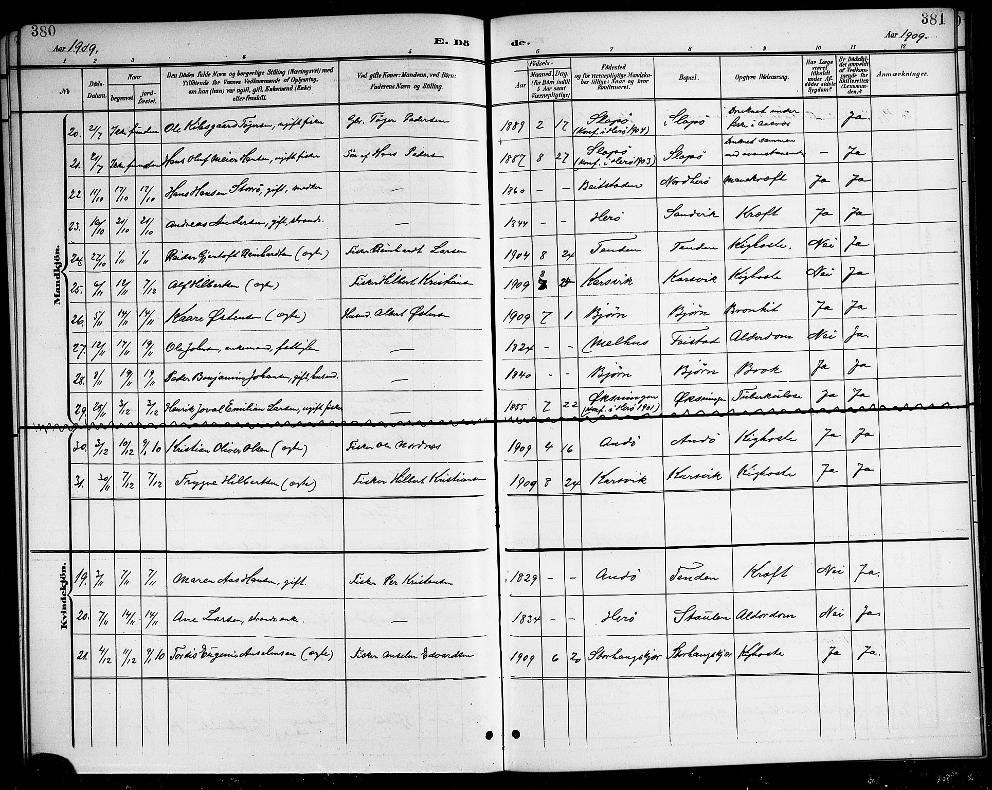 Ministerialprotokoller, klokkerbøker og fødselsregistre - Nordland, AV/SAT-A-1459/834/L0516: Parish register (copy) no. 834C06, 1902-1918, p. 380-381