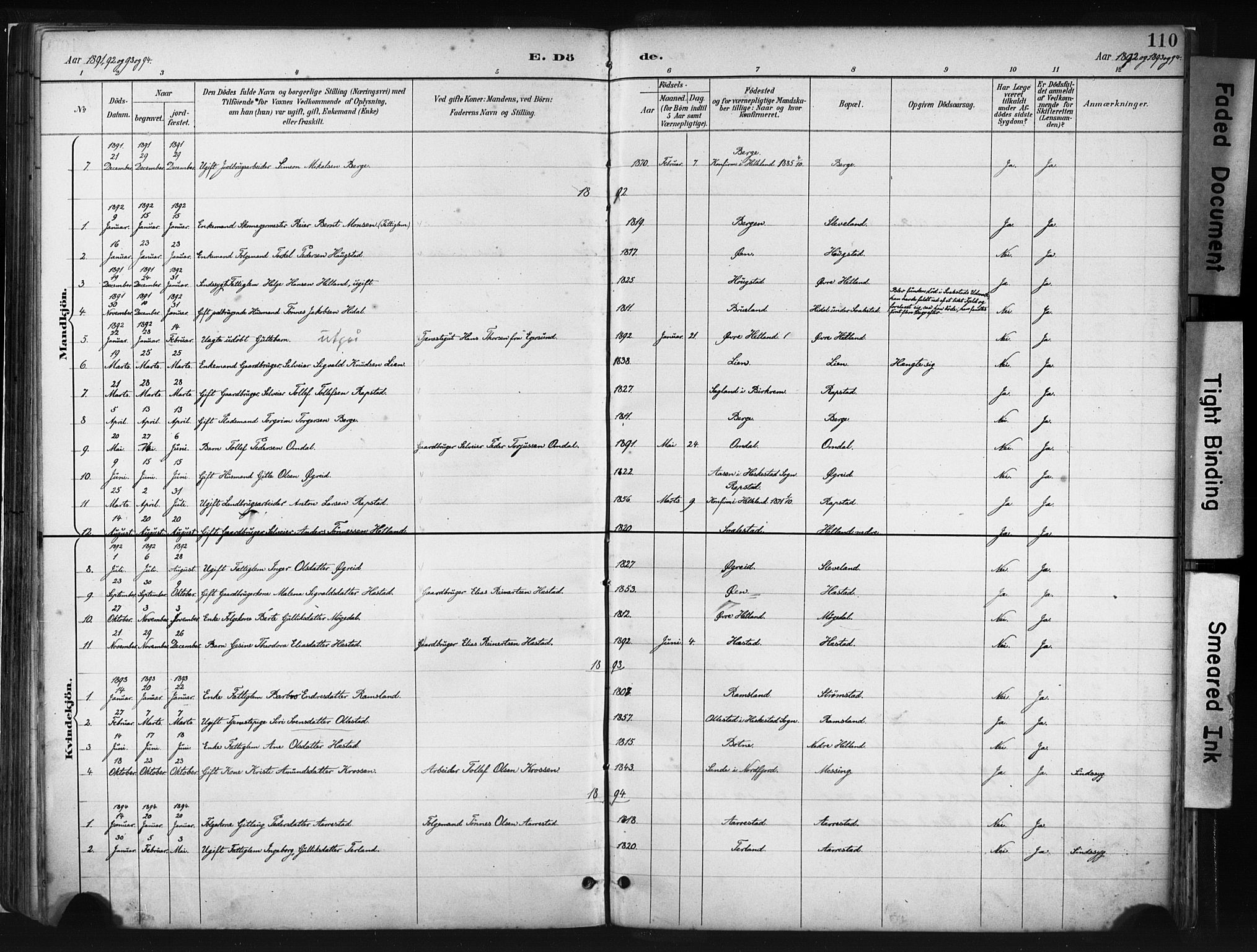 Helleland sokneprestkontor, AV/SAST-A-101810: Parish register (official) no. A 8, 1887-1907, p. 110