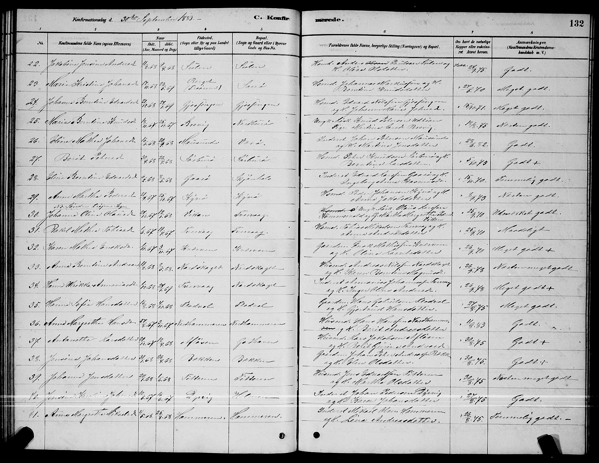 Ministerialprotokoller, klokkerbøker og fødselsregistre - Sør-Trøndelag, SAT/A-1456/640/L0585: Parish register (copy) no. 640C03, 1878-1891, p. 132