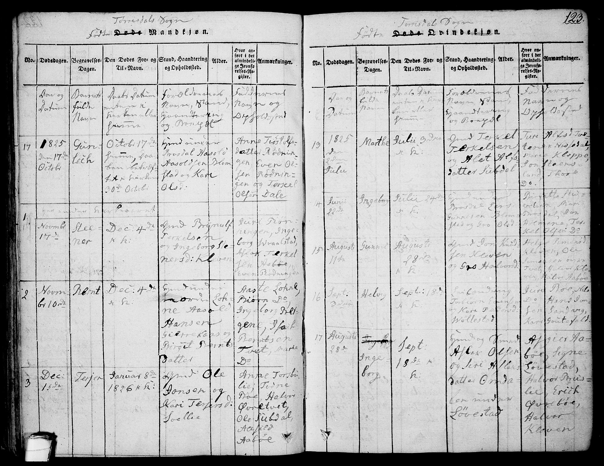 Drangedal kirkebøker, SAKO/A-258/F/Fa/L0005: Parish register (official) no. 5 /2, 1814-1831, p. 123