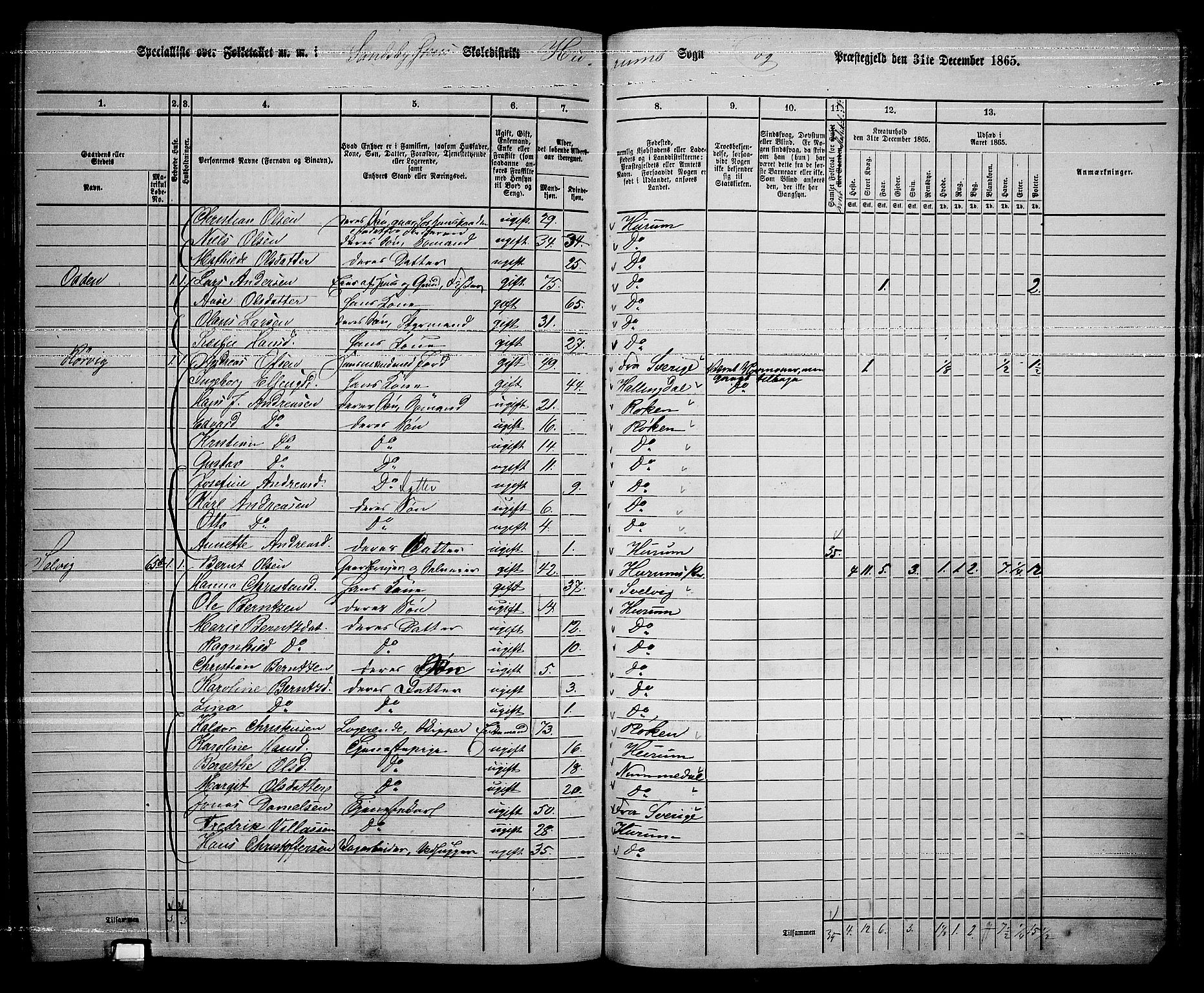 RA, 1865 census for Hurum, 1865, p. 91