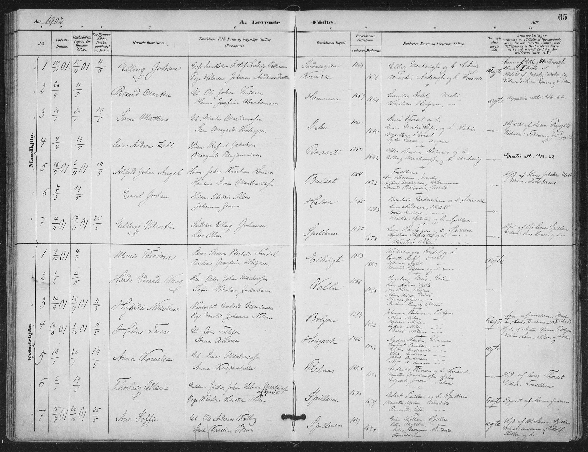 Ministerialprotokoller, klokkerbøker og fødselsregistre - Nordland, SAT/A-1459/843/L0628: Parish register (official) no. 843A03, 1889-1907, p. 65