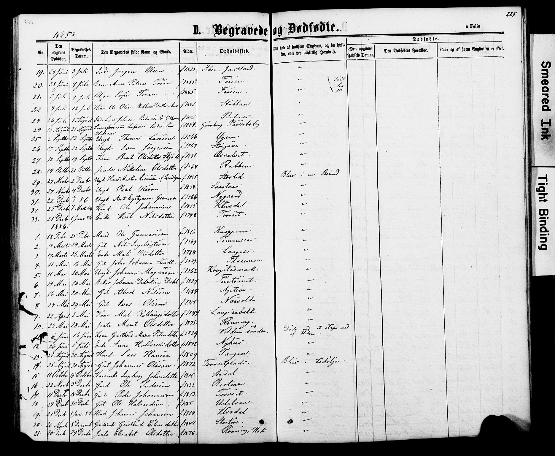 Ministerialprotokoller, klokkerbøker og fødselsregistre - Nord-Trøndelag, SAT/A-1458/706/L0049: Parish register (copy) no. 706C01, 1864-1895, p. 225