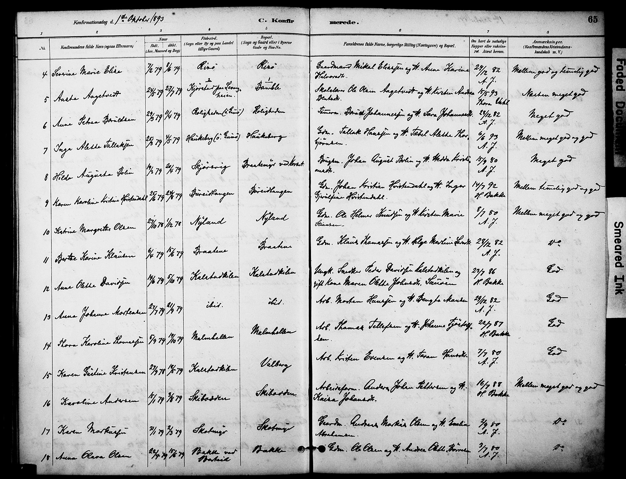 Skåtøy kirkebøker, AV/SAKO-A-304/F/Fa/L0003: Parish register (official) no. I 3, 1884-1899, p. 65