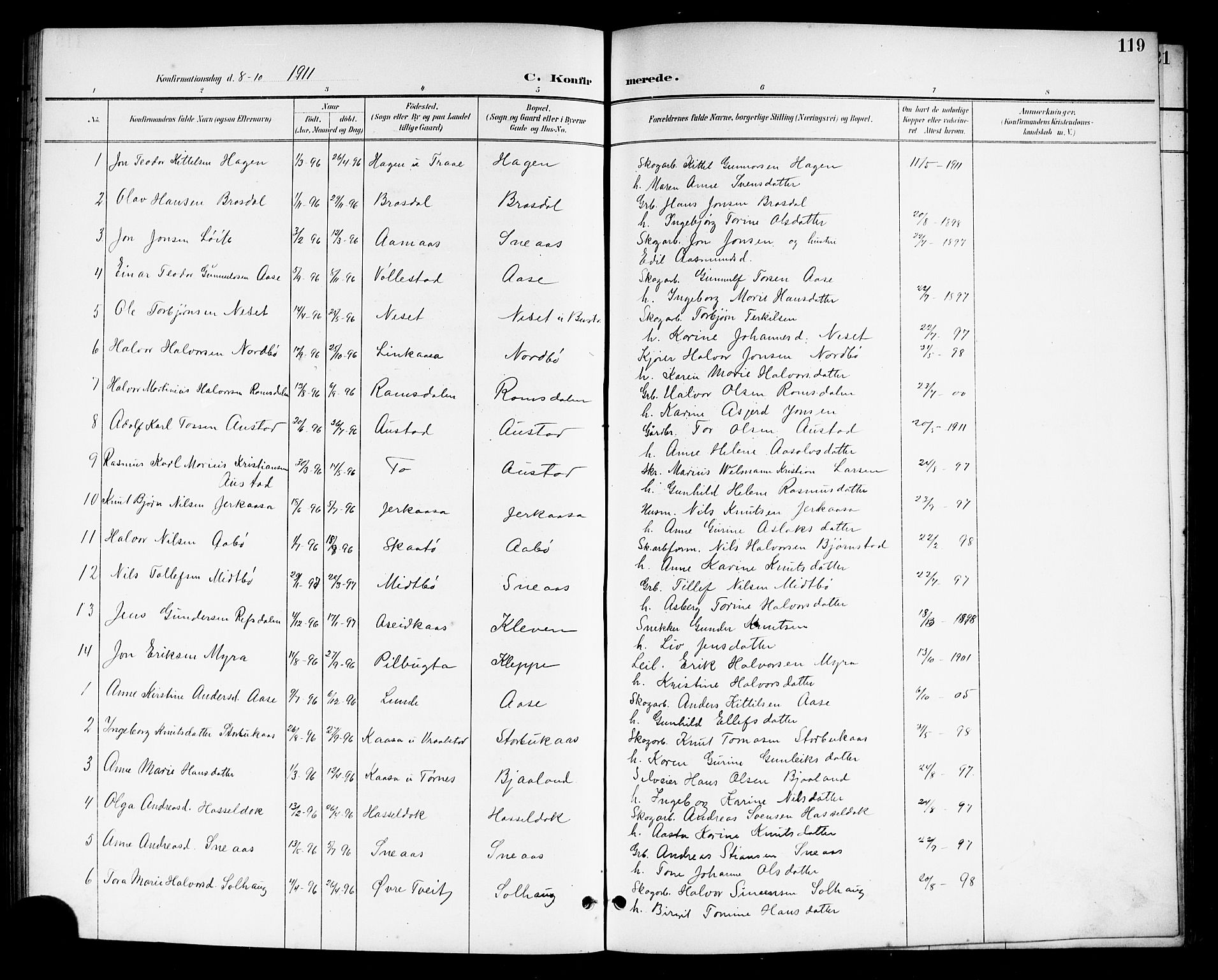 Drangedal kirkebøker, SAKO/A-258/G/Gb/L0002: Parish register (copy) no. II 2, 1895-1918, p. 119