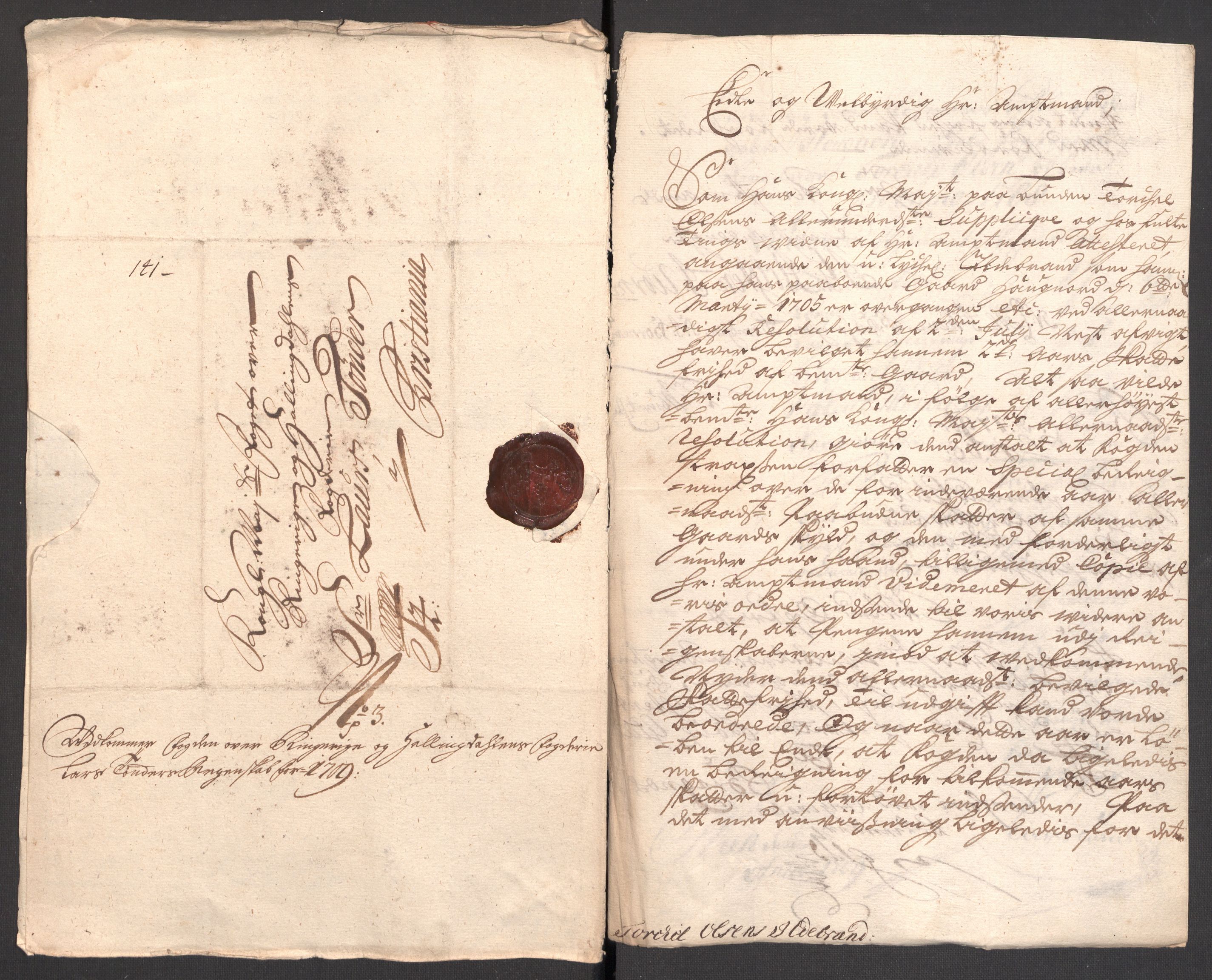 Rentekammeret inntil 1814, Reviderte regnskaper, Fogderegnskap, AV/RA-EA-4092/R23/L1468: Fogderegnskap Ringerike og Hallingdal, 1709-1710, p. 124