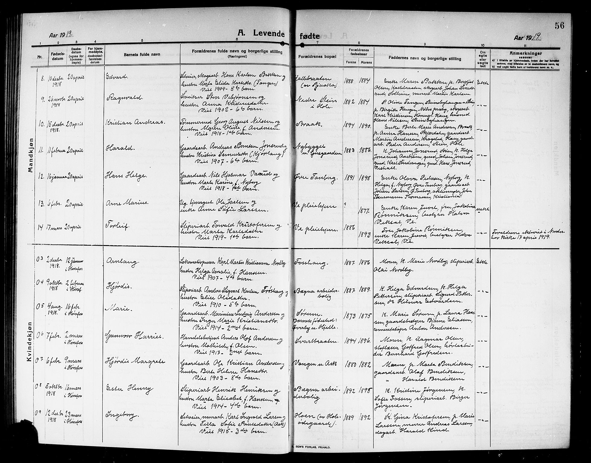 Norderhov kirkebøker, AV/SAKO-A-237/G/Ga/L0009: Parish register (copy) no. I 9, 1913-1920, p. 56