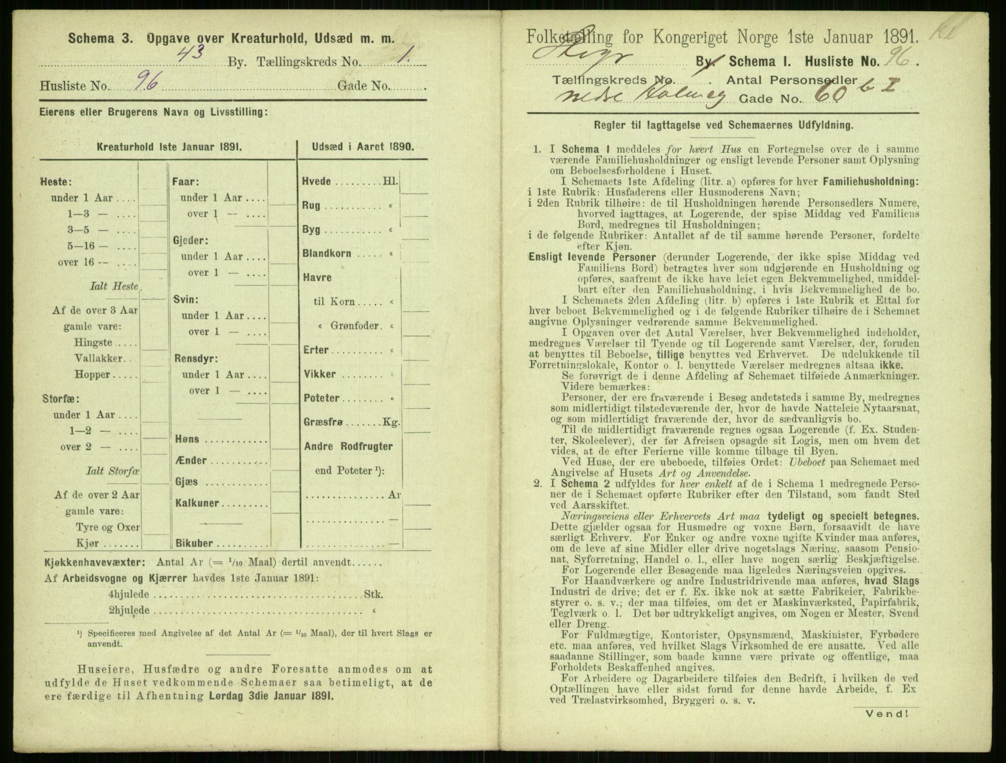 RA, 1891 census for 1103 Stavanger, 1891, p. 261