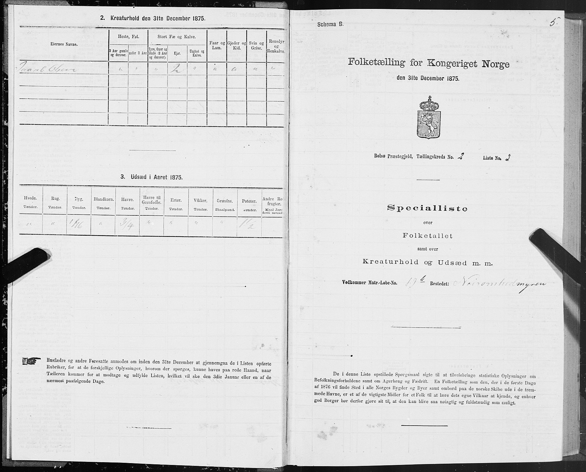 SAT, 1875 census for 1544P Bolsøy, 1875, p. 2005