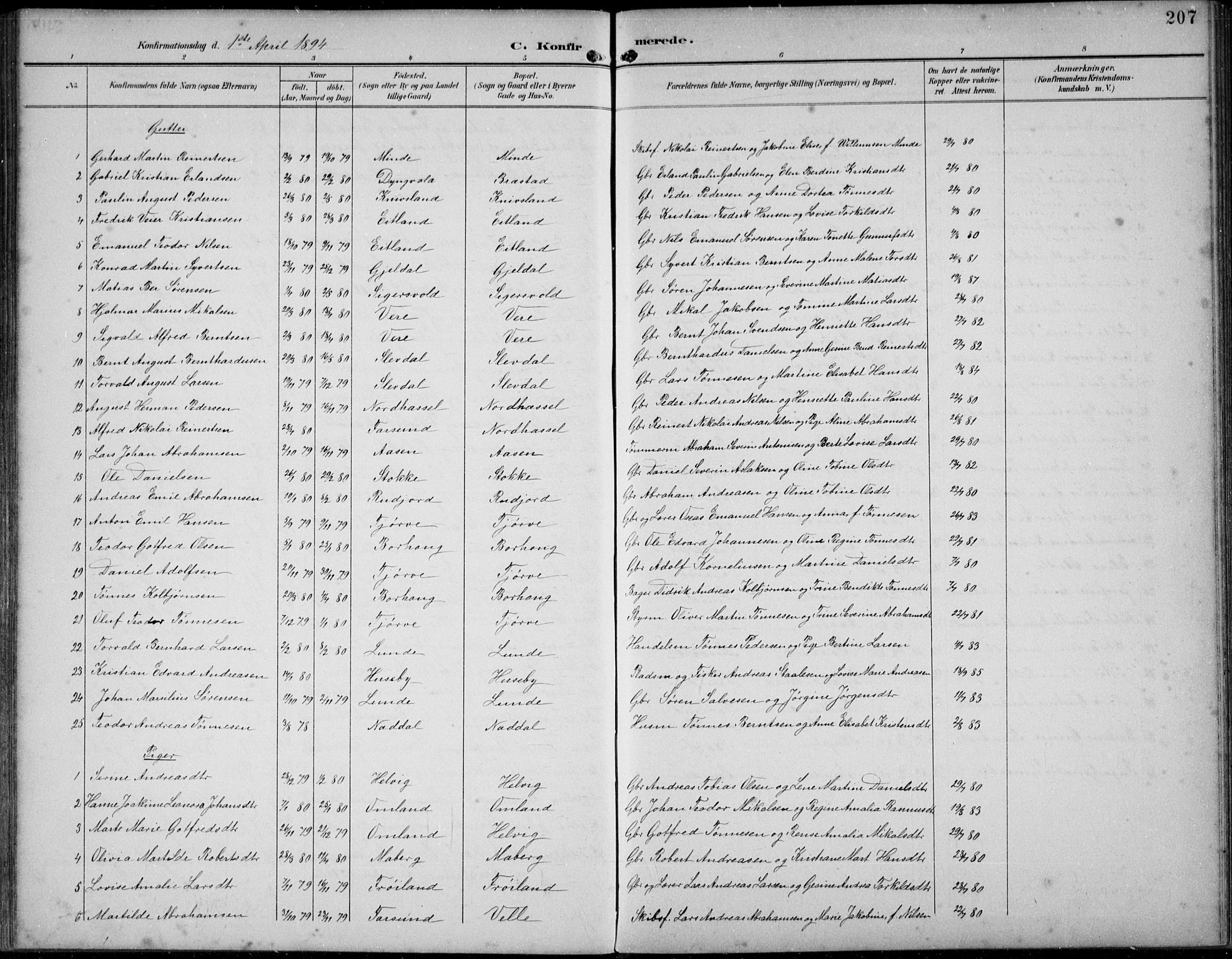 Lista sokneprestkontor, AV/SAK-1111-0027/F/Fb/L0005: Parish register (copy) no. B 5, 1892-1923, p. 207