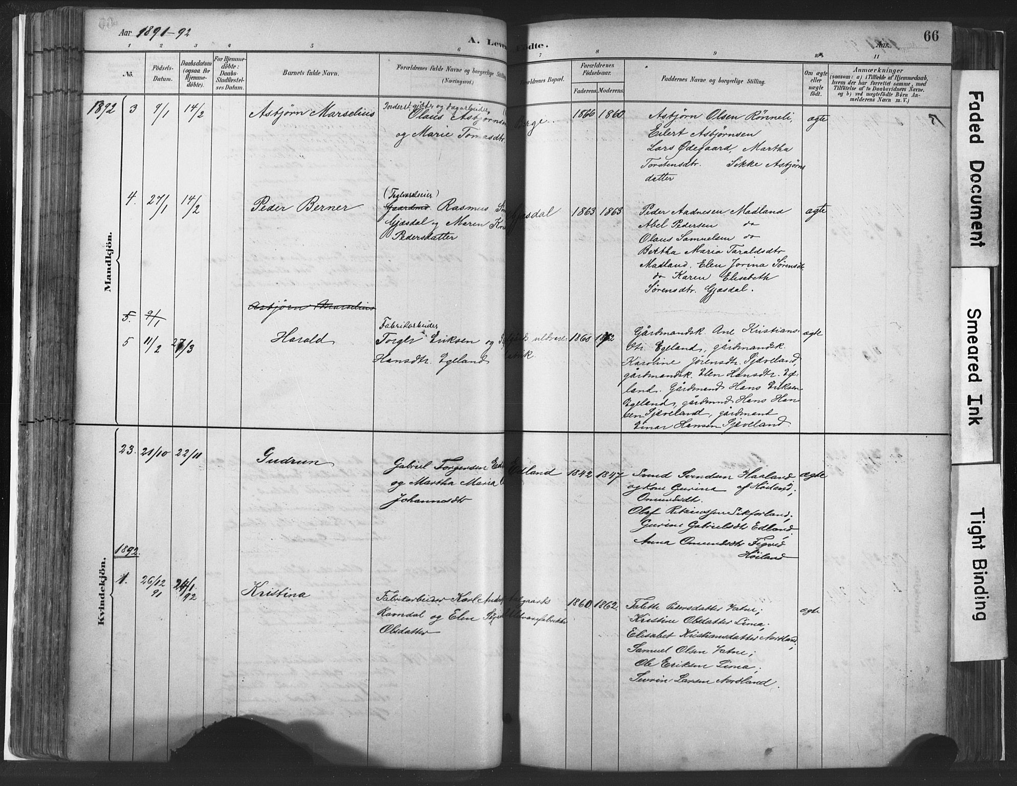 Lye sokneprestkontor, AV/SAST-A-101794/001/30BA/L0010: Parish register (official) no. A 10, 1881-1896, p. 66